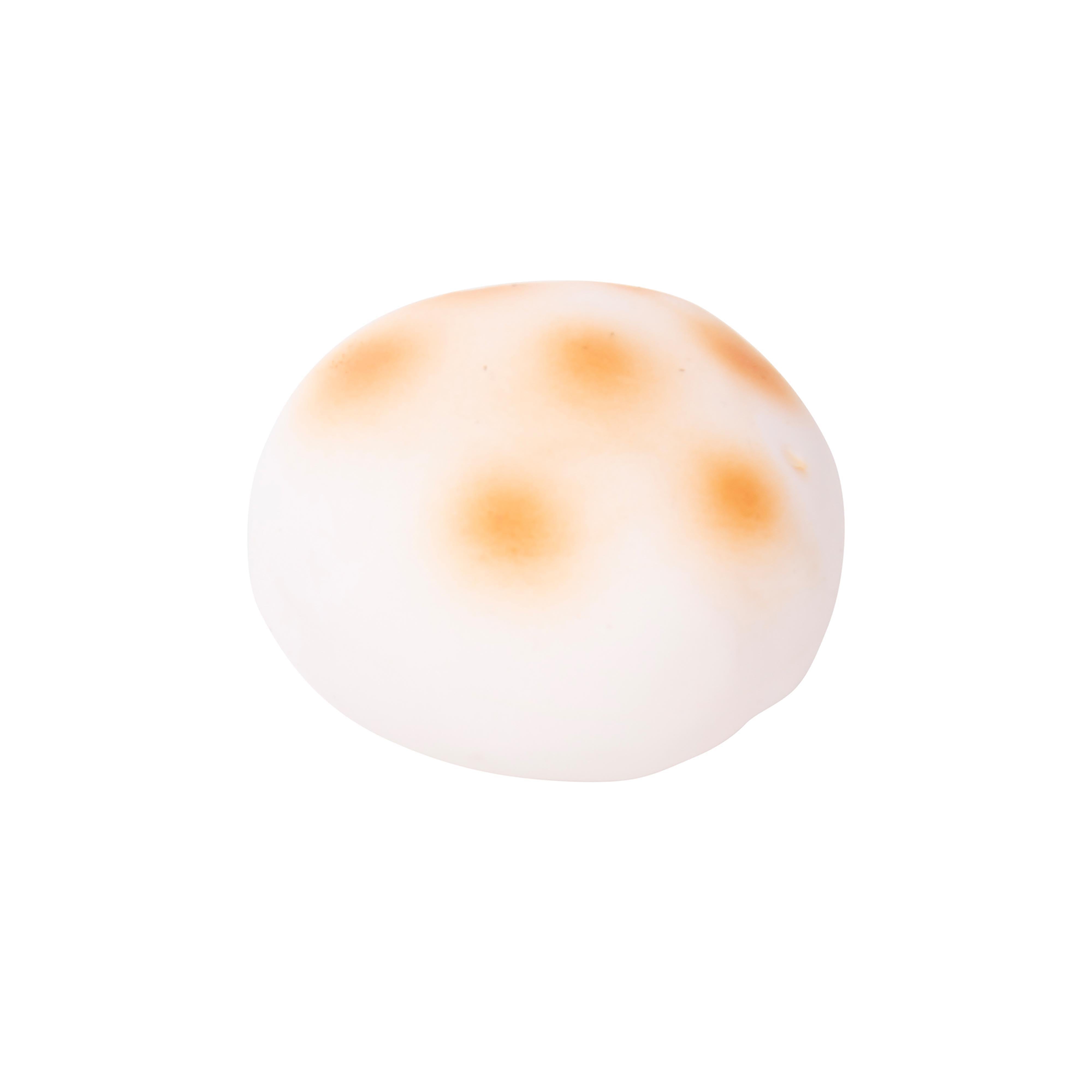 Discovery Zone Squishy Baozi Buns White