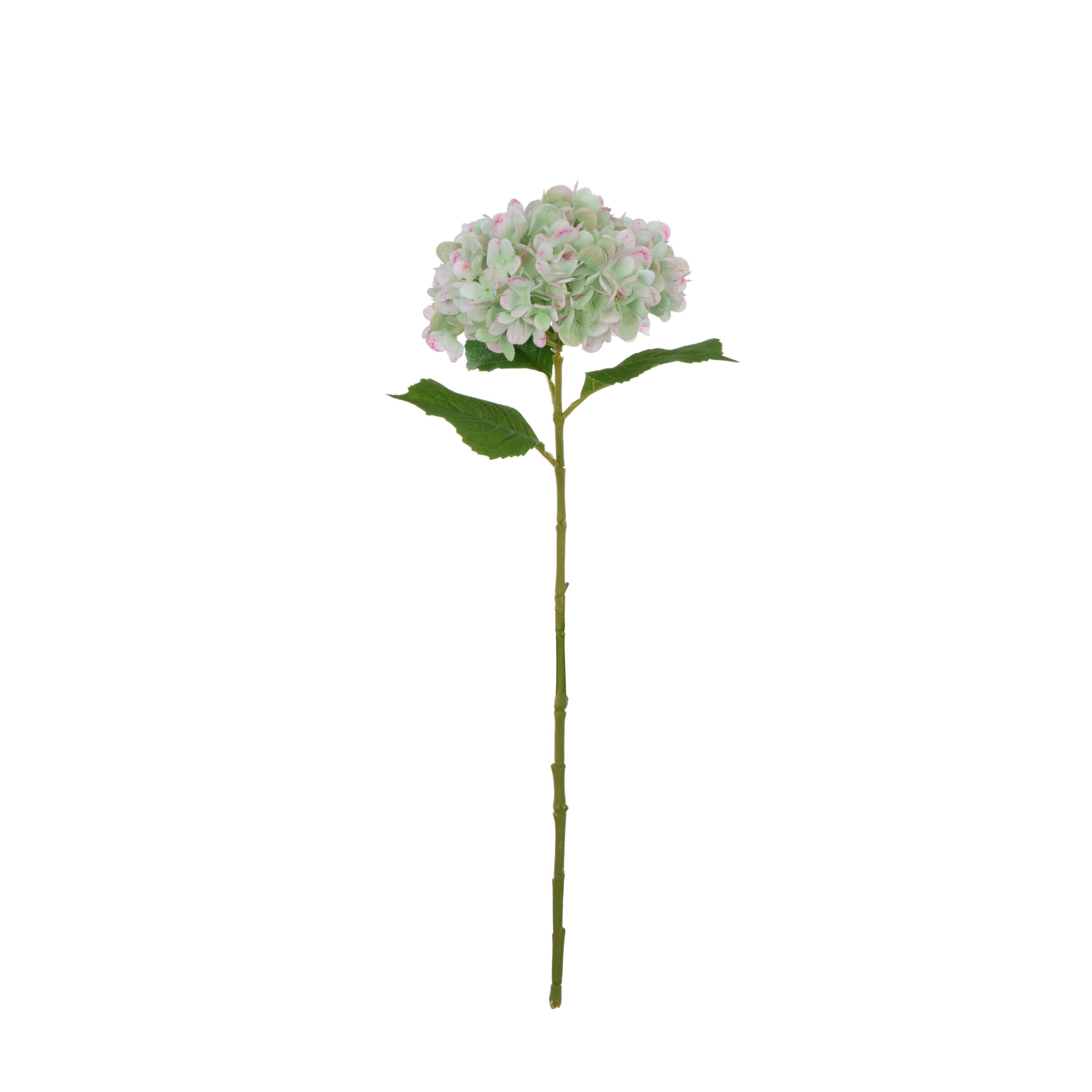 Rogue Hydrangea Stem Real Touch Green & White
