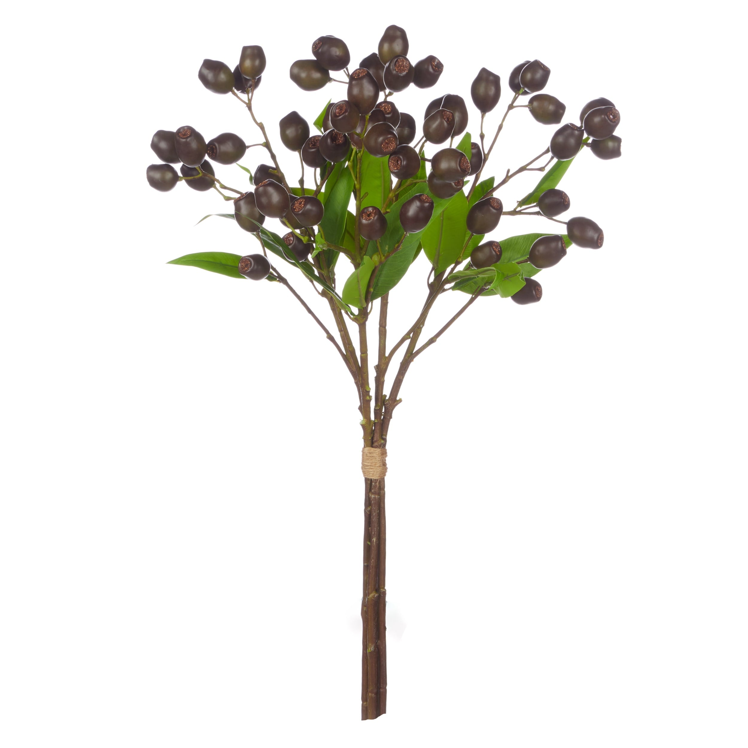Rogue Olea Gum Nut Spray Bunch Purple