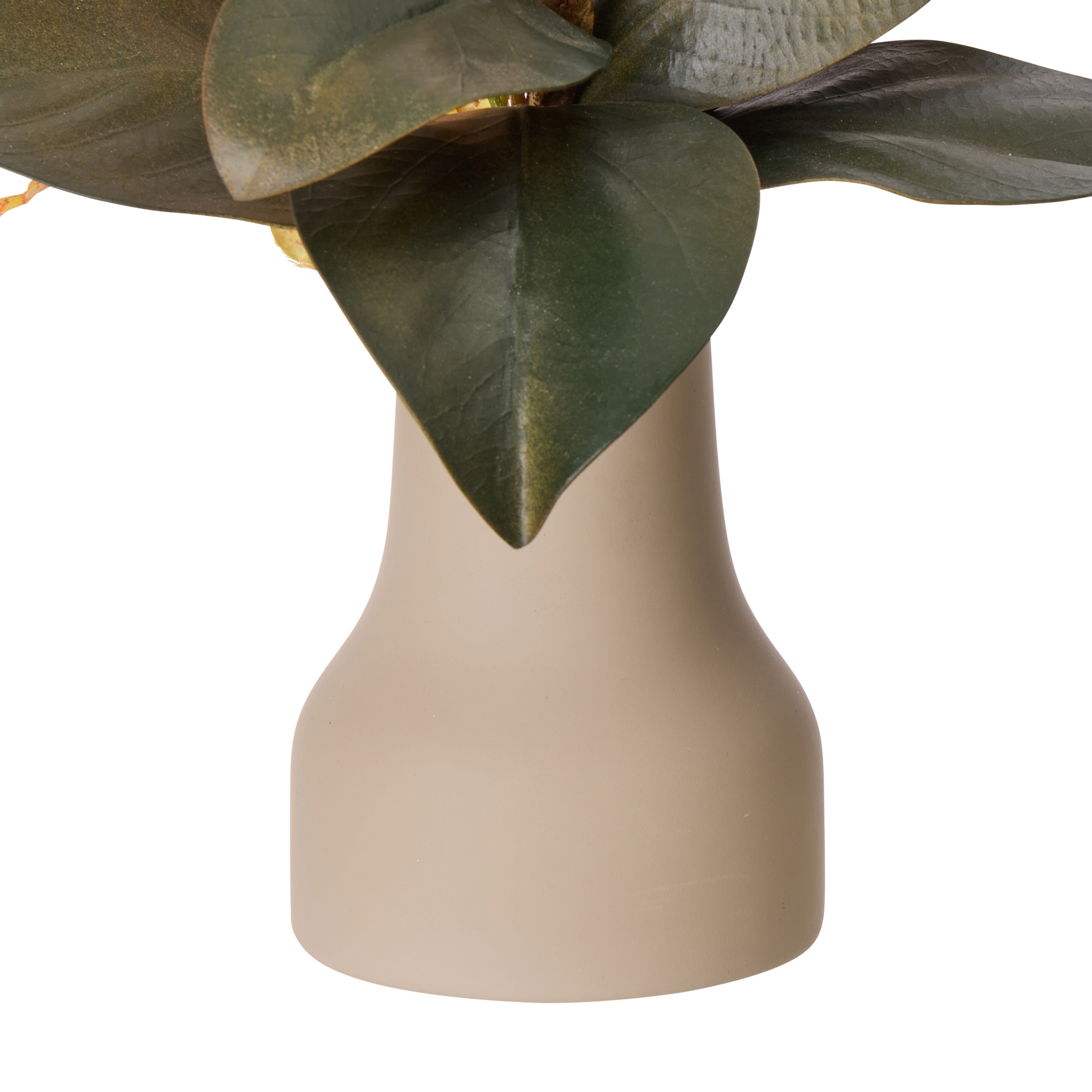 Rogue Dancing Orchid Foliage Mix - Douglas Vase Orange & Green