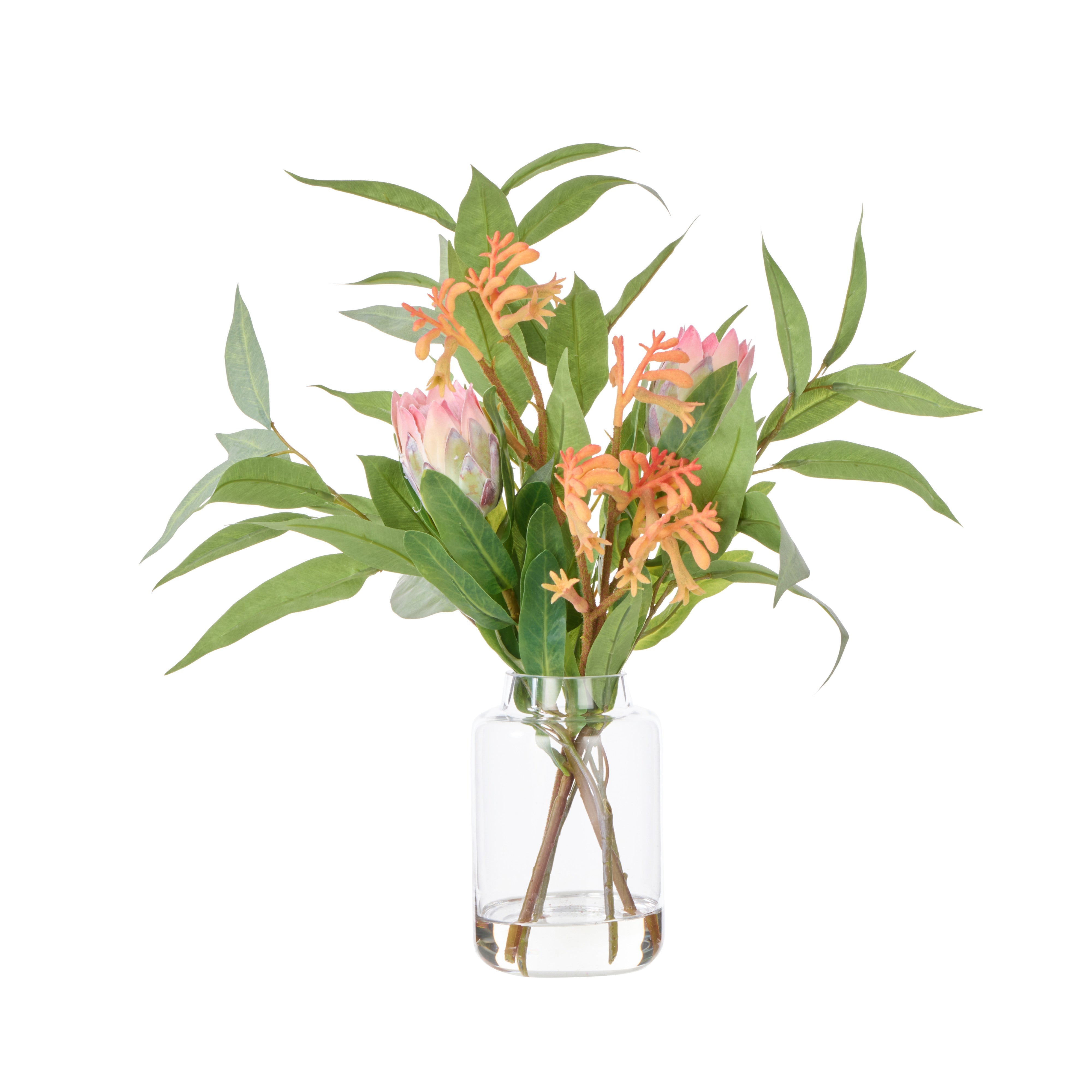 Rogue Pitaya Kangaroo Paw - Pauline Vase Pink & Yellow