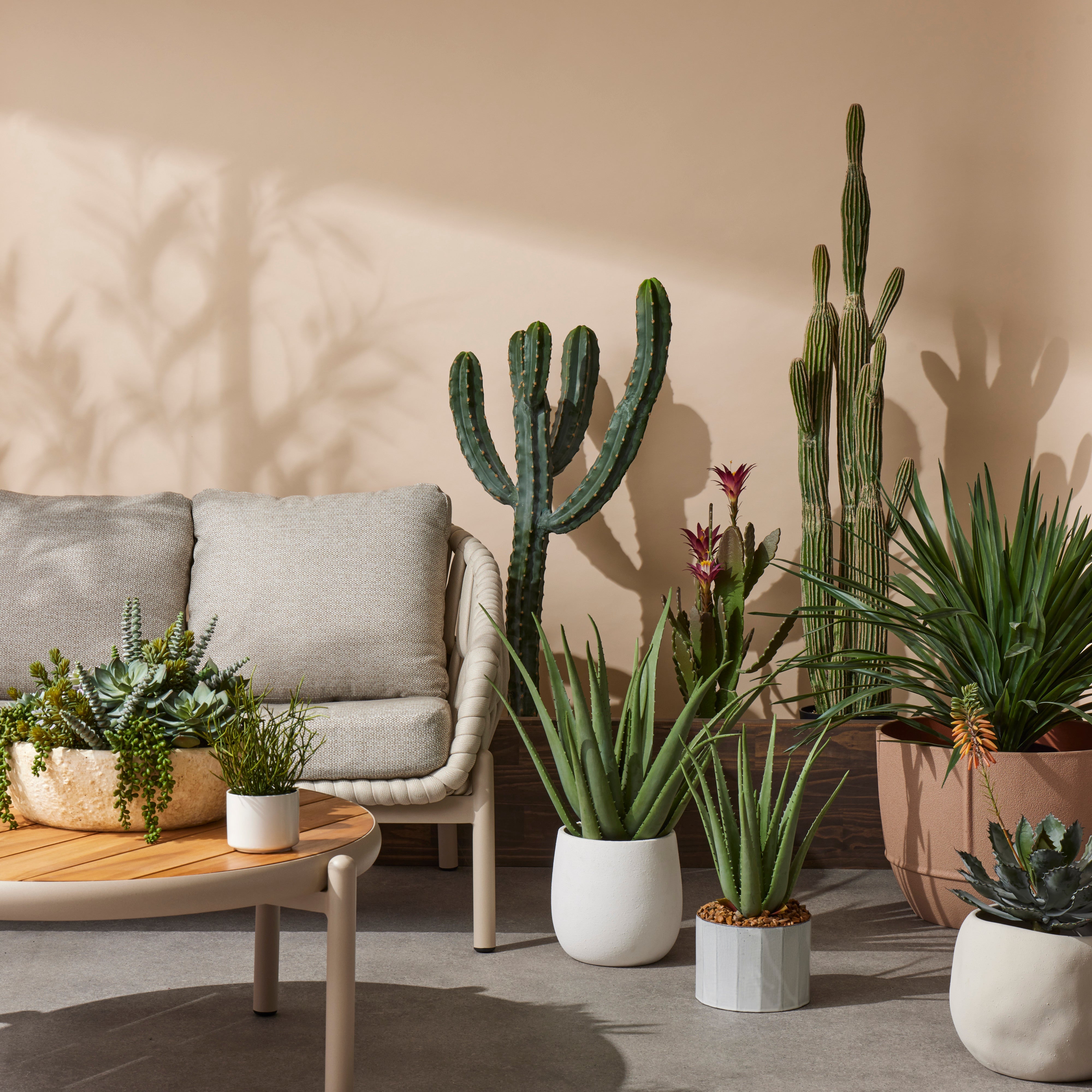 Rogue Lyon Organic Planter White