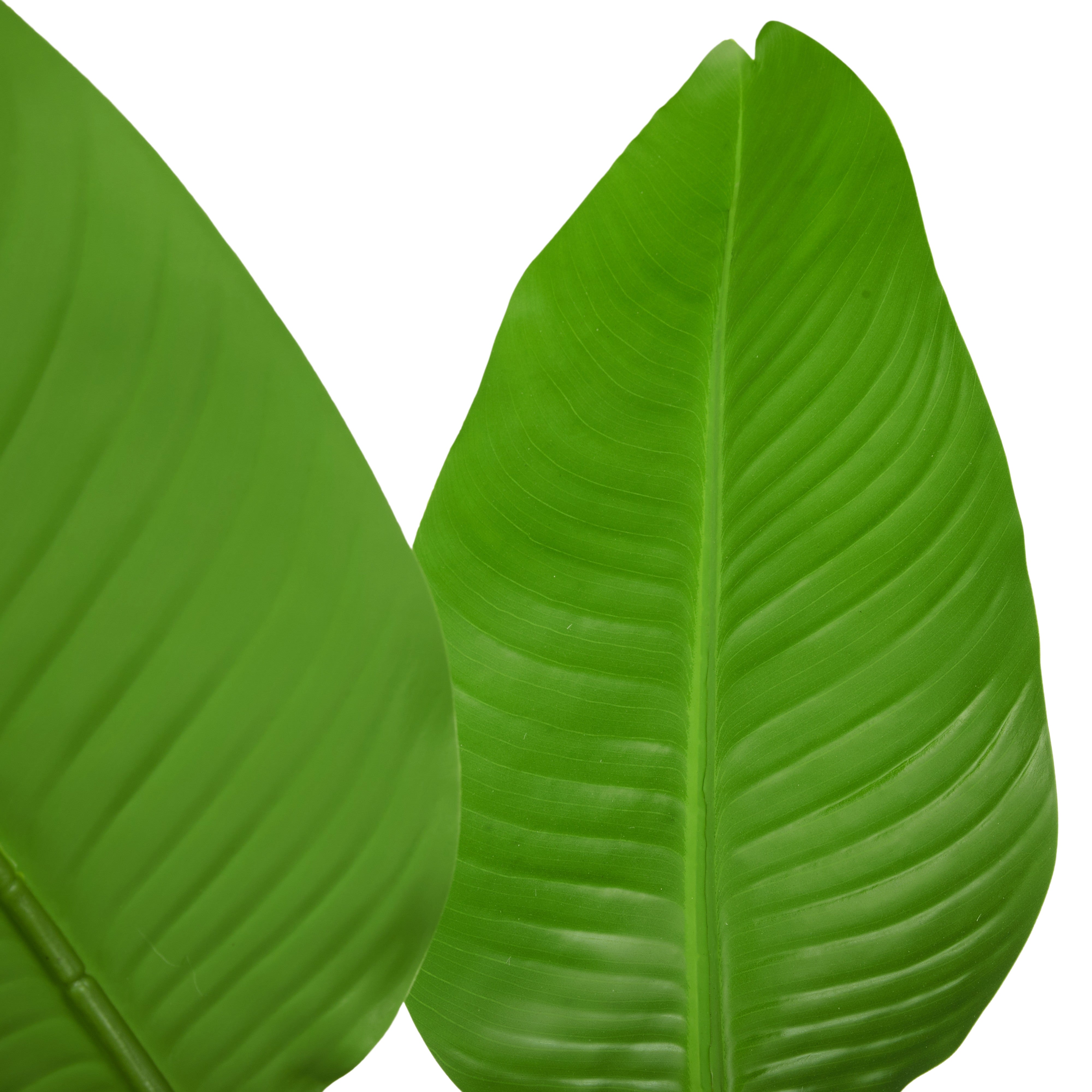 Rogue Bird of Paradise - Ryker Planter 3pcs Set Green/Black