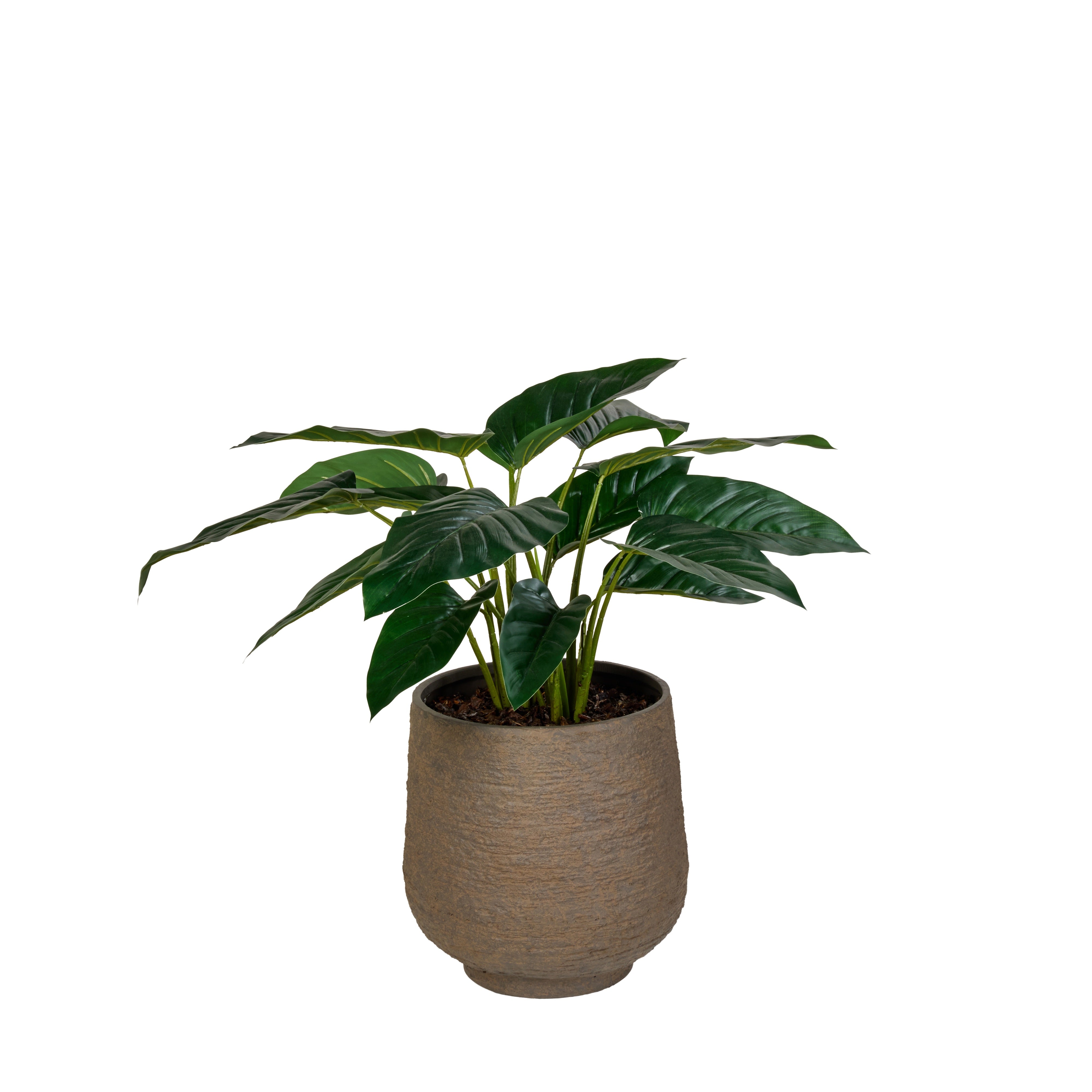 Rogue Philodendron - Trillium Planter Green & Grey