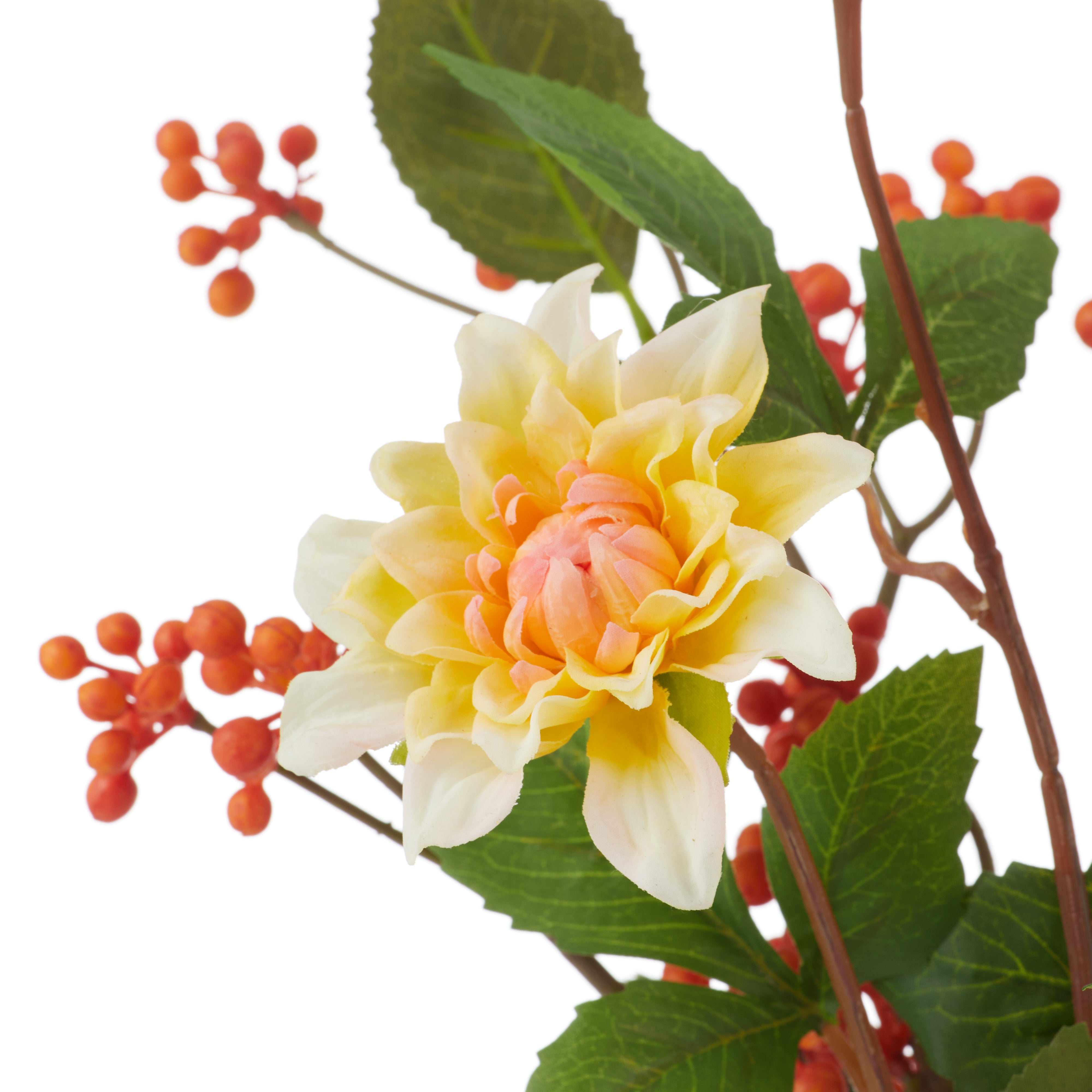 Rogue Dahlia Dewberry Mix - Clear Glass Vase Orange & Yellow
