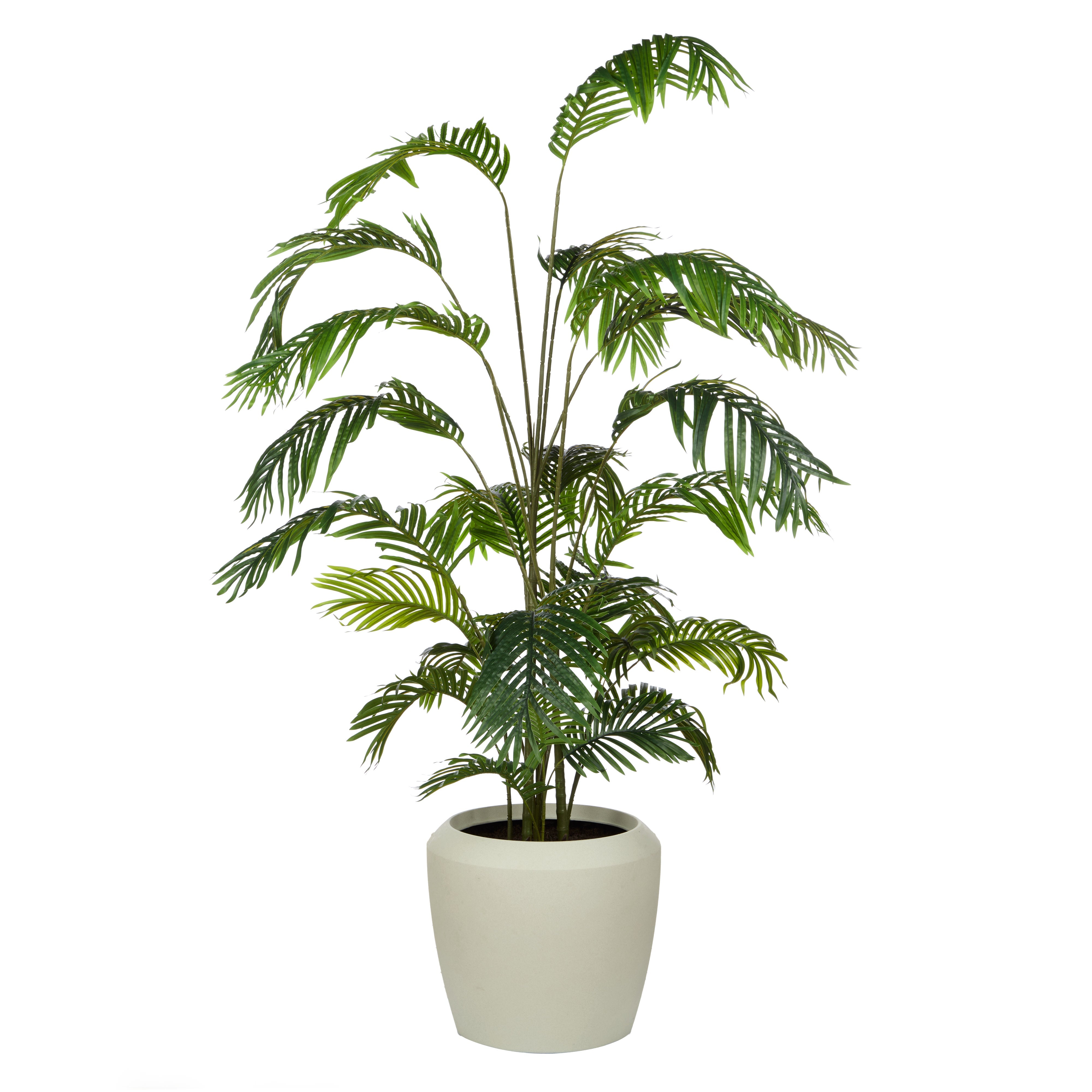 Rogue Areca Palm Tree - Vienna Planter 185cm