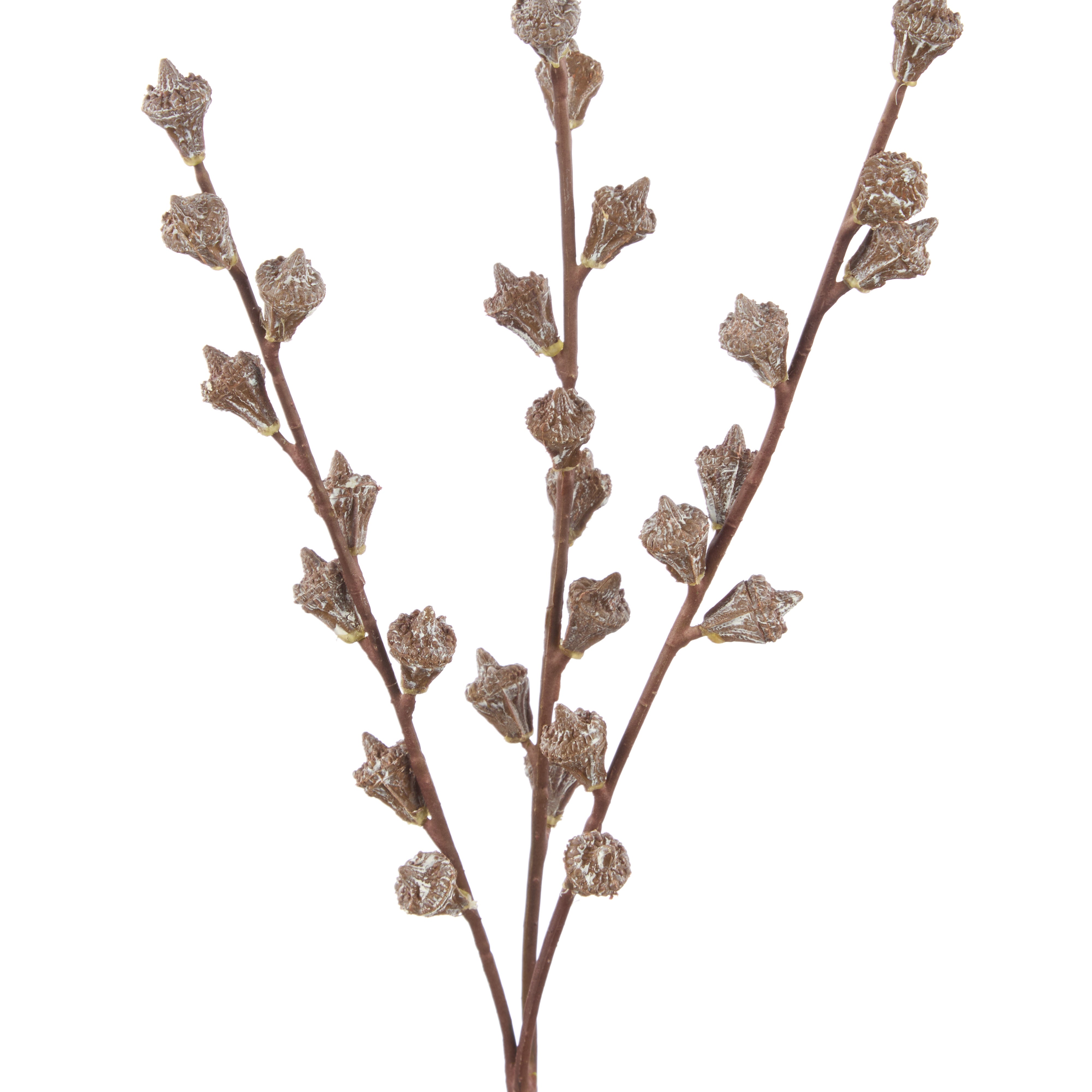 Rogue Eucalyptus Gumnut Spray Brown
