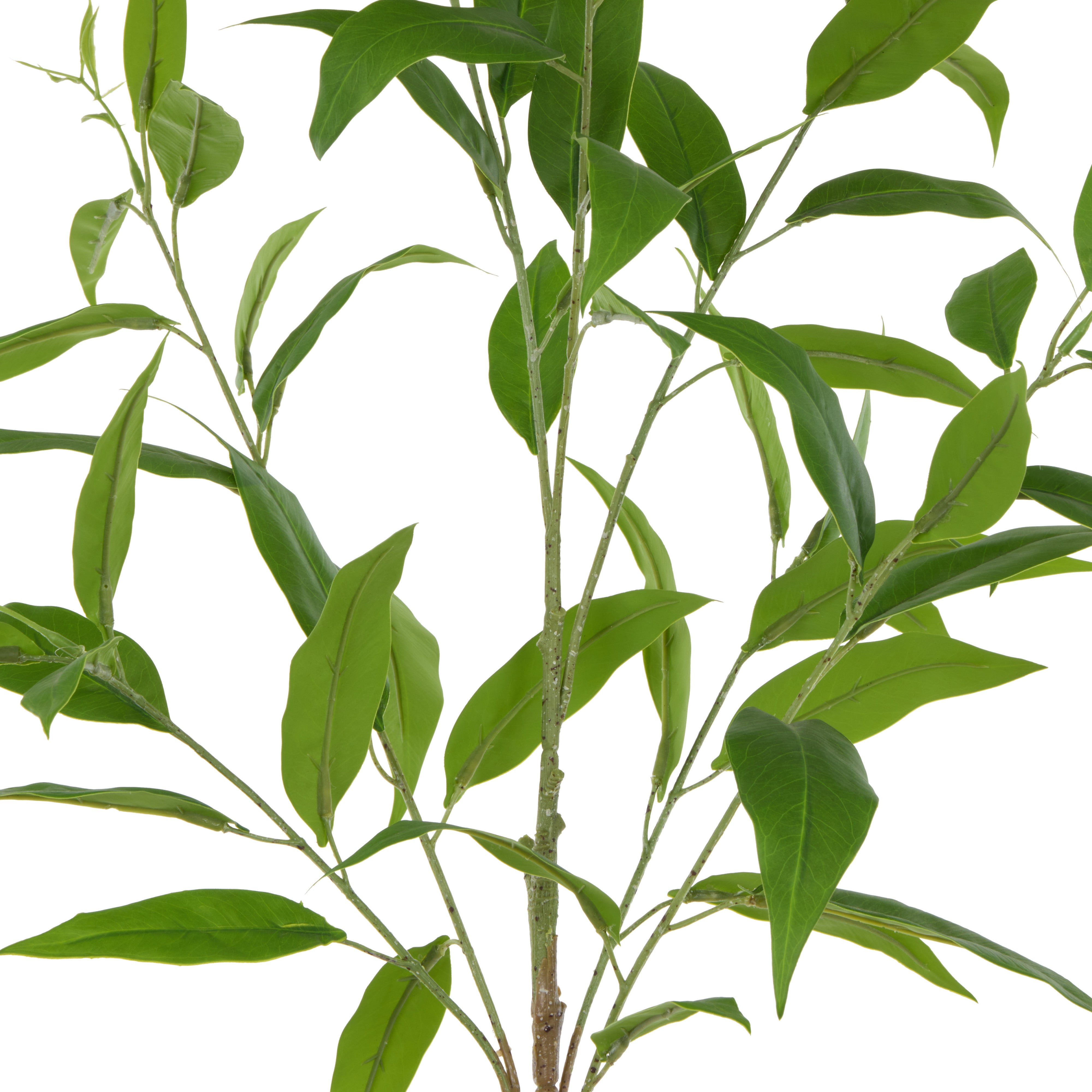 Rogue Eucalyptus Spray Green 105cm