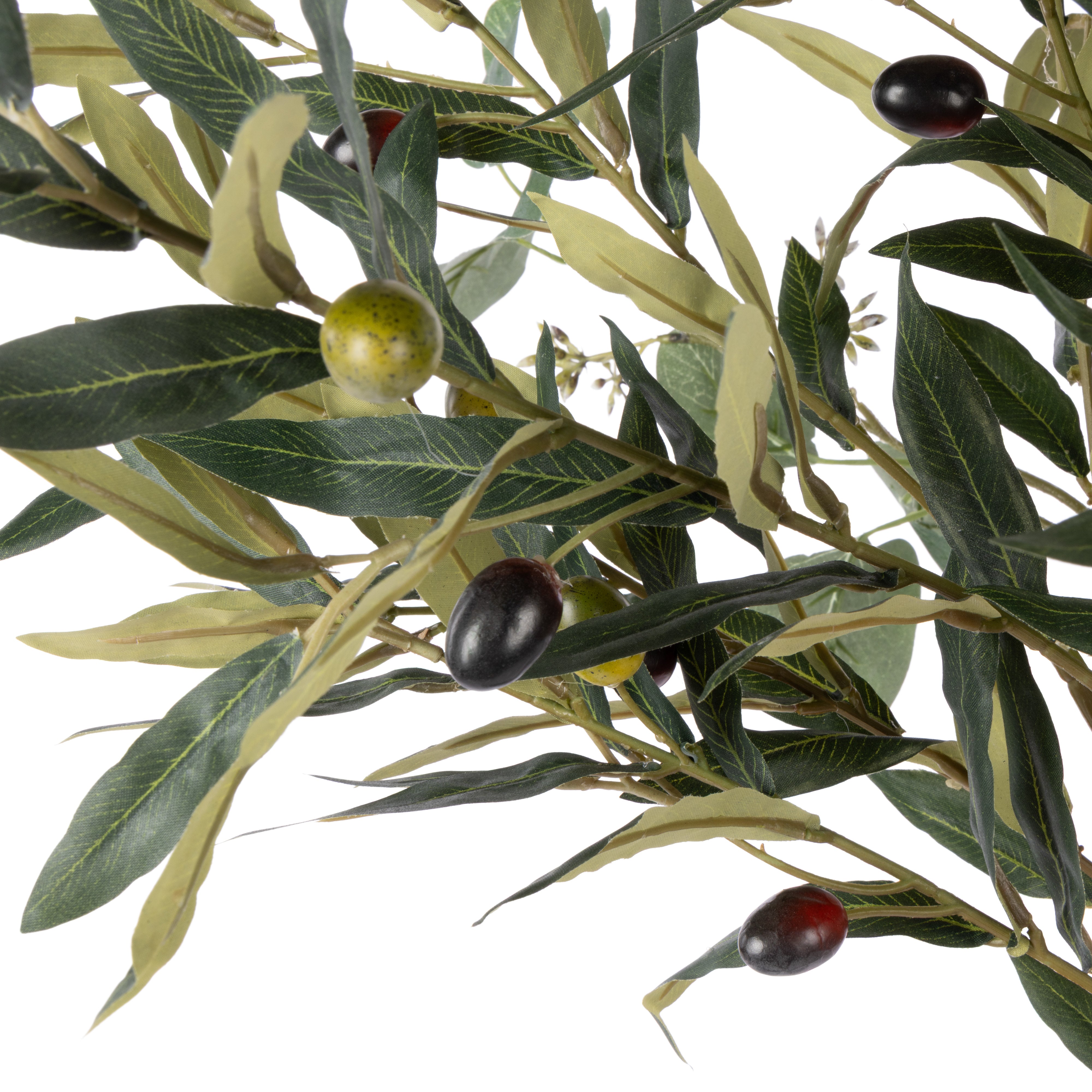 Rogue Olive Eucalyptus Mix - Alana Vase