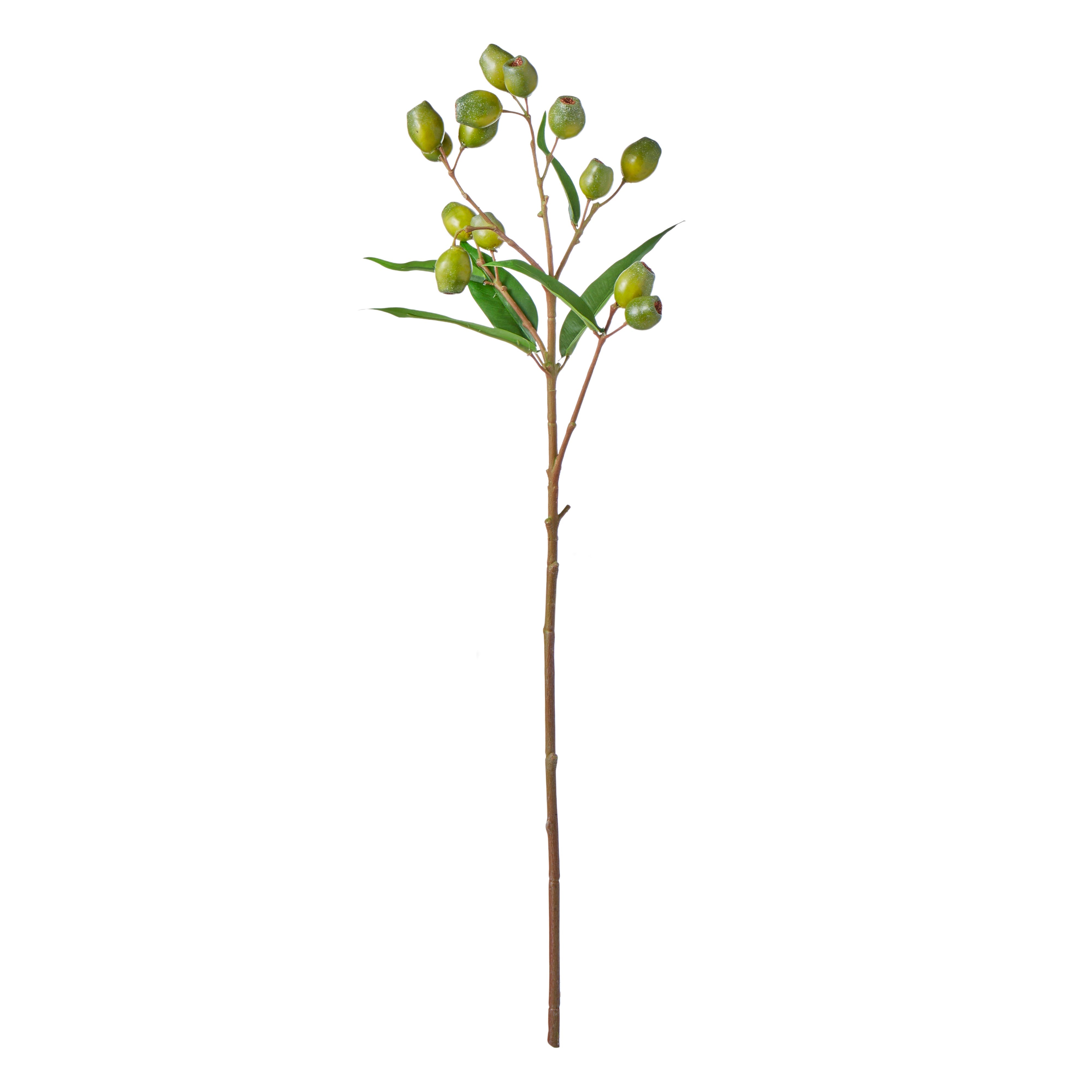 Rogue Gumnut Spray Green