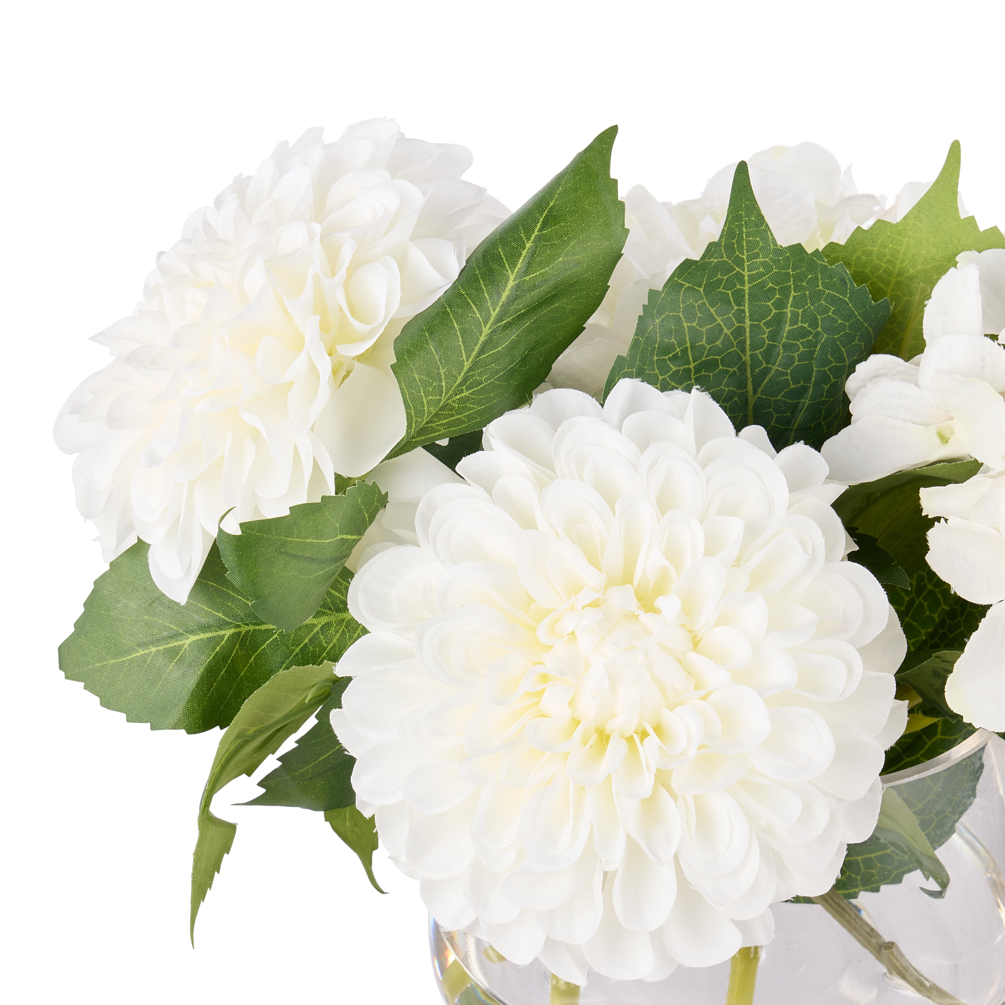 Rogue Chrysanthemum Hydrangea - Classic Bowl