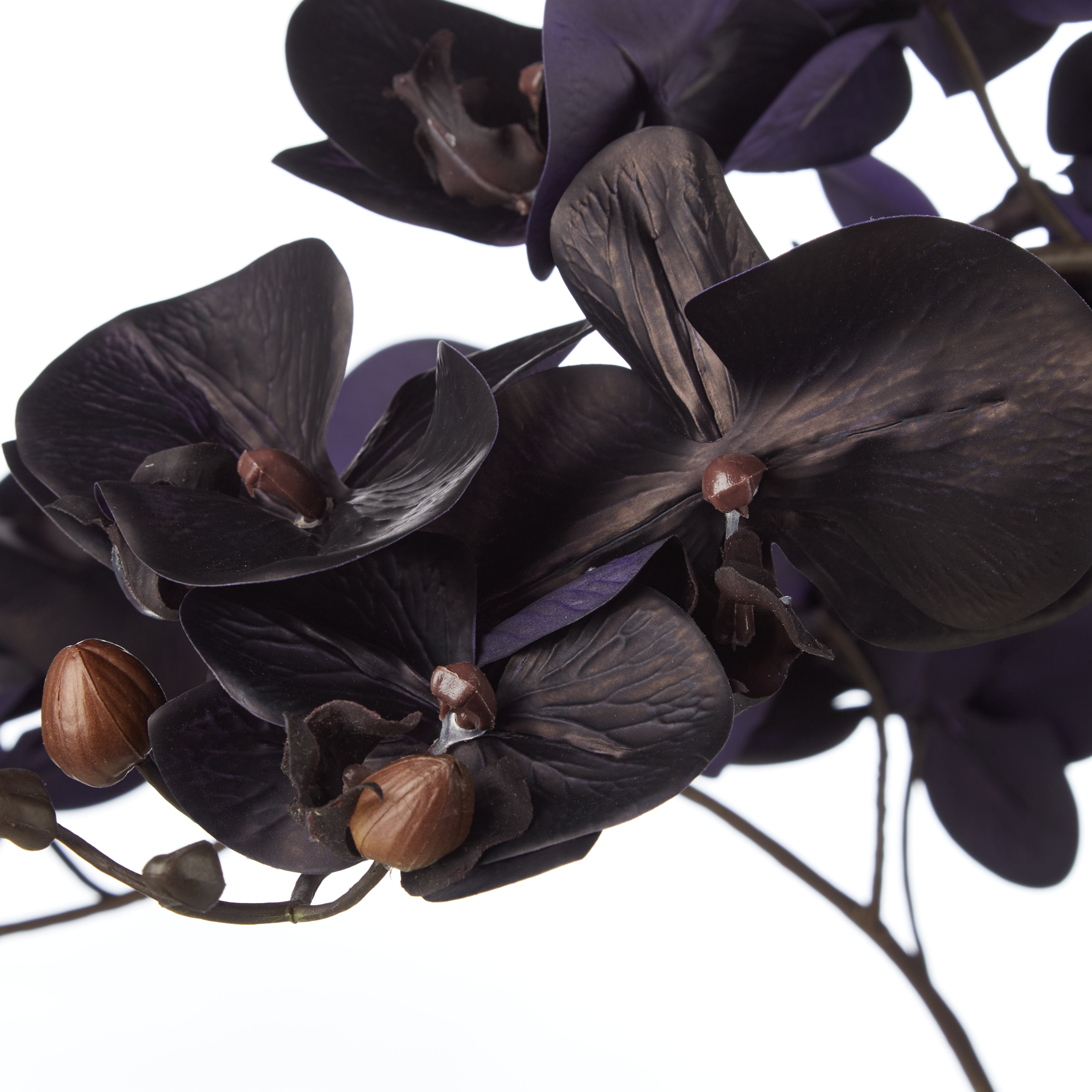 Rogue Phalaenopsis Orchid - Vienna Tall Planter