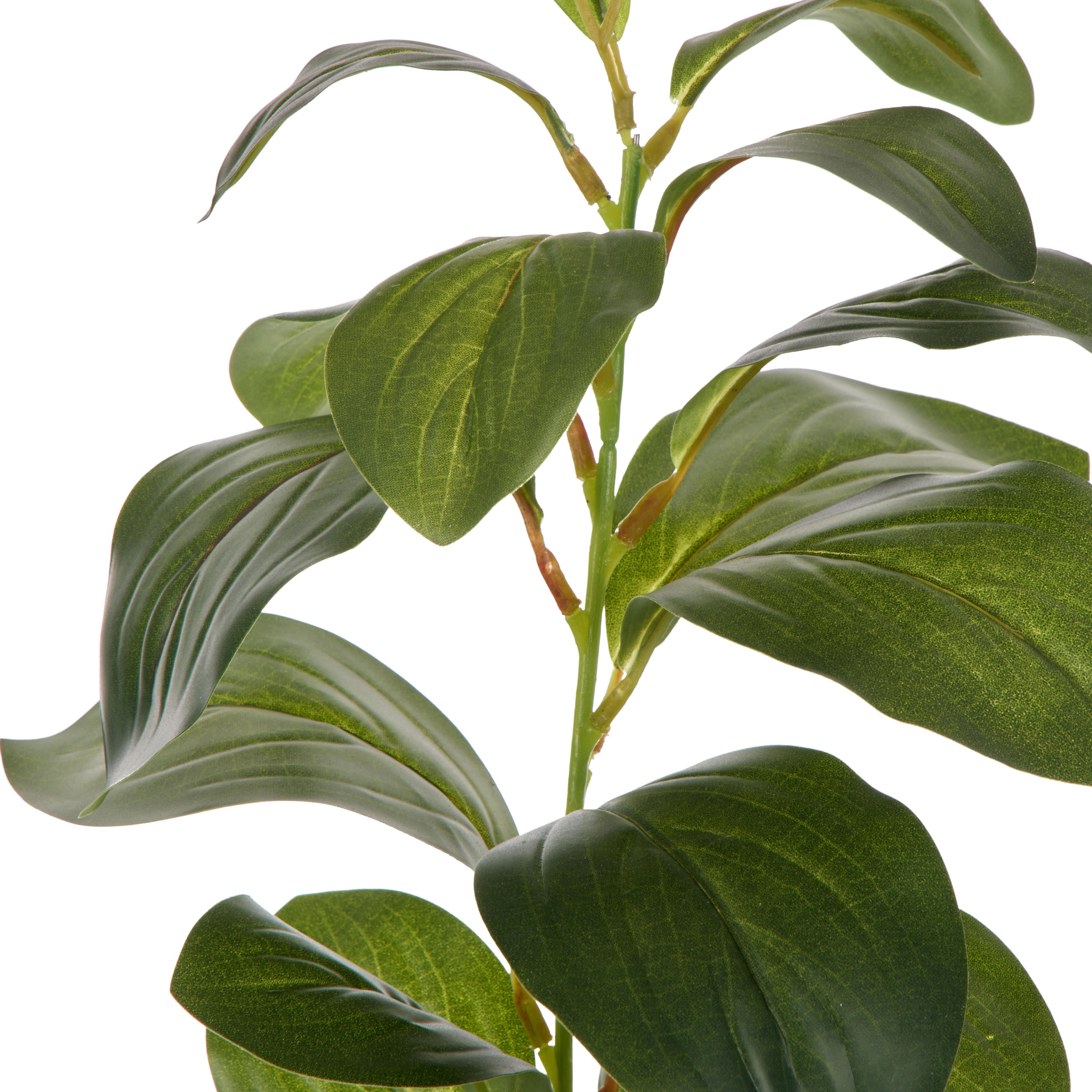 Rogue Lush Leaf Single Stem