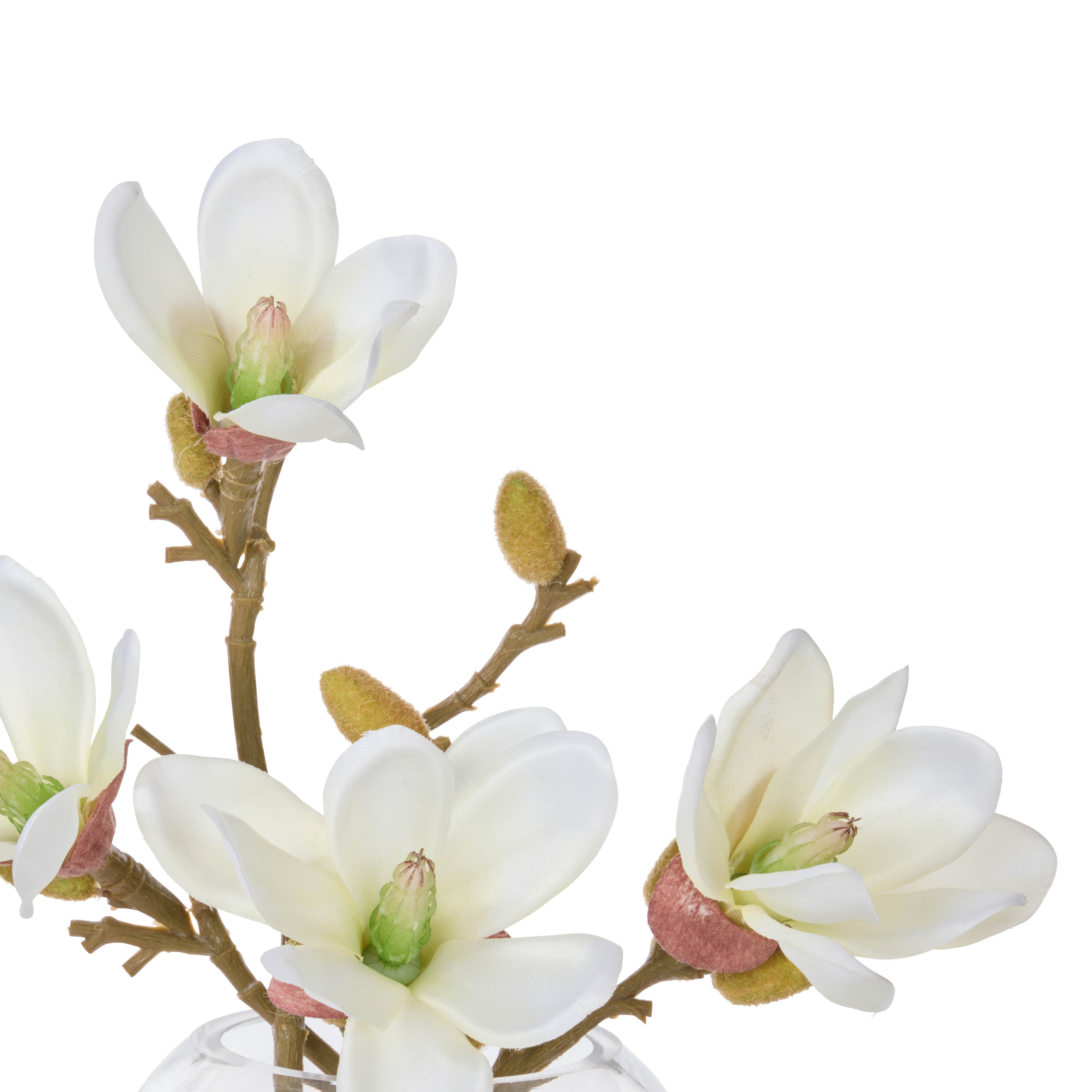 Rogue Mini Magnolia - Sphere Vase White 16cm