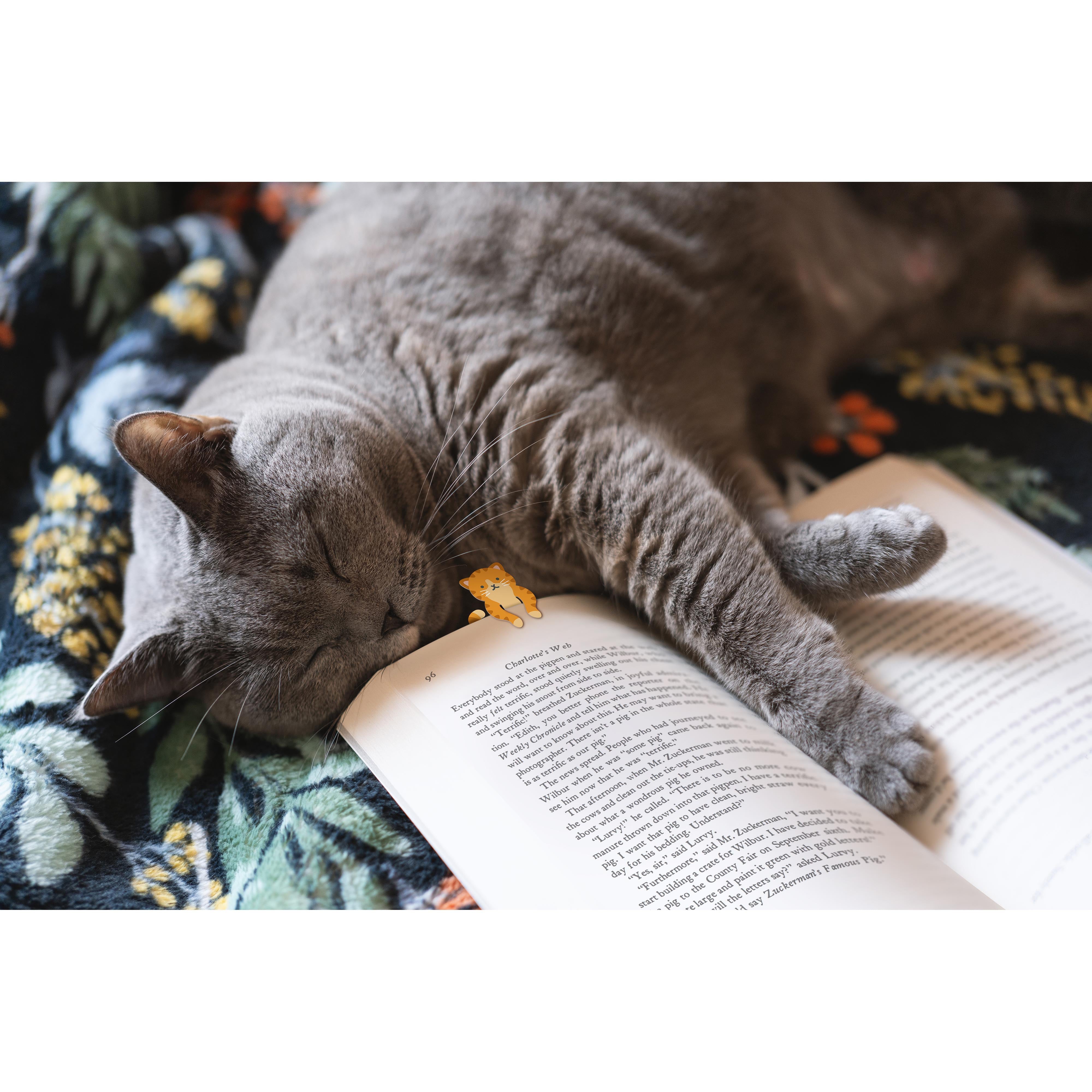 Fred Tale End Cat Bookmarks 2 Piece Set Multi-Coloured