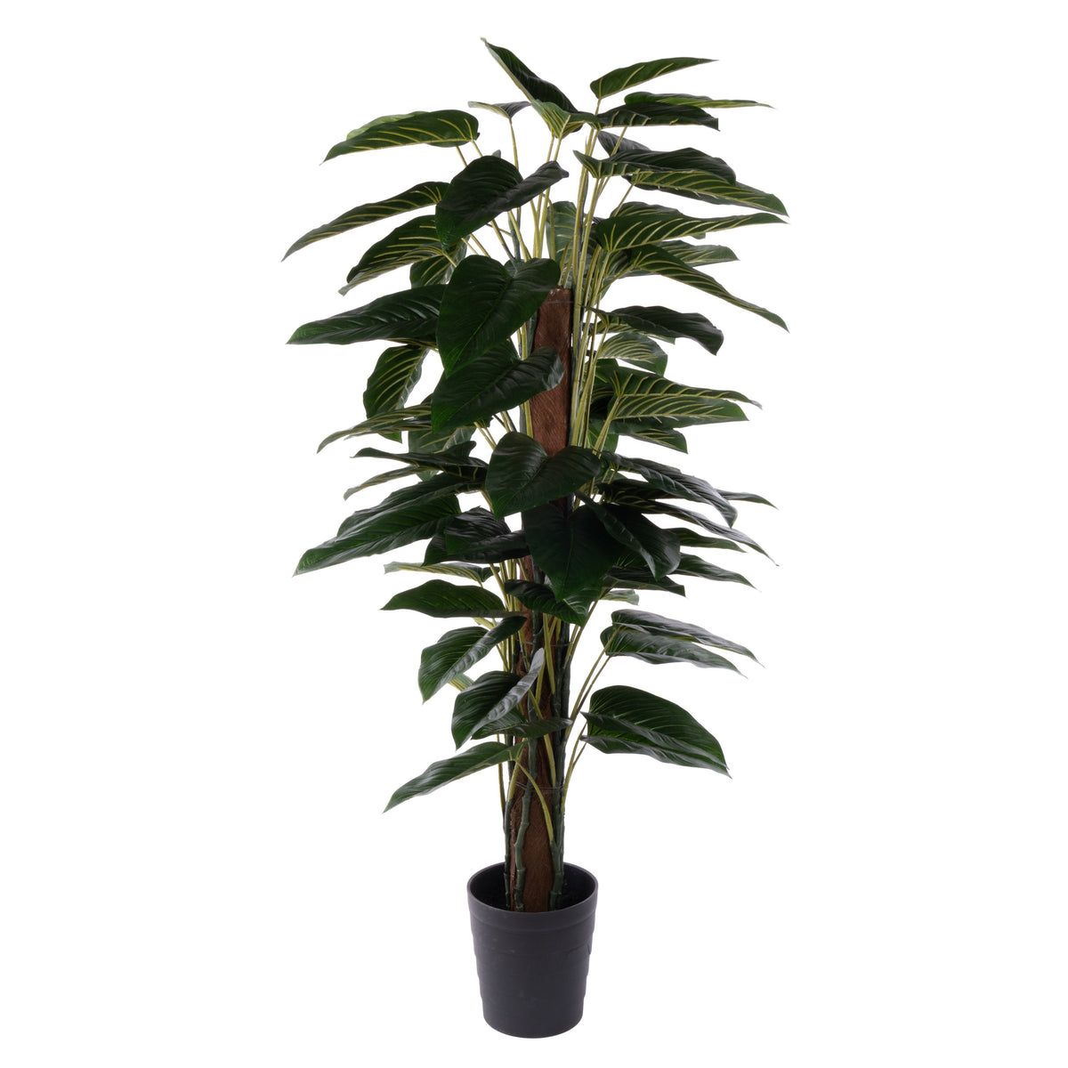 Rogue Philodendron UV - Garden Pot 180cm