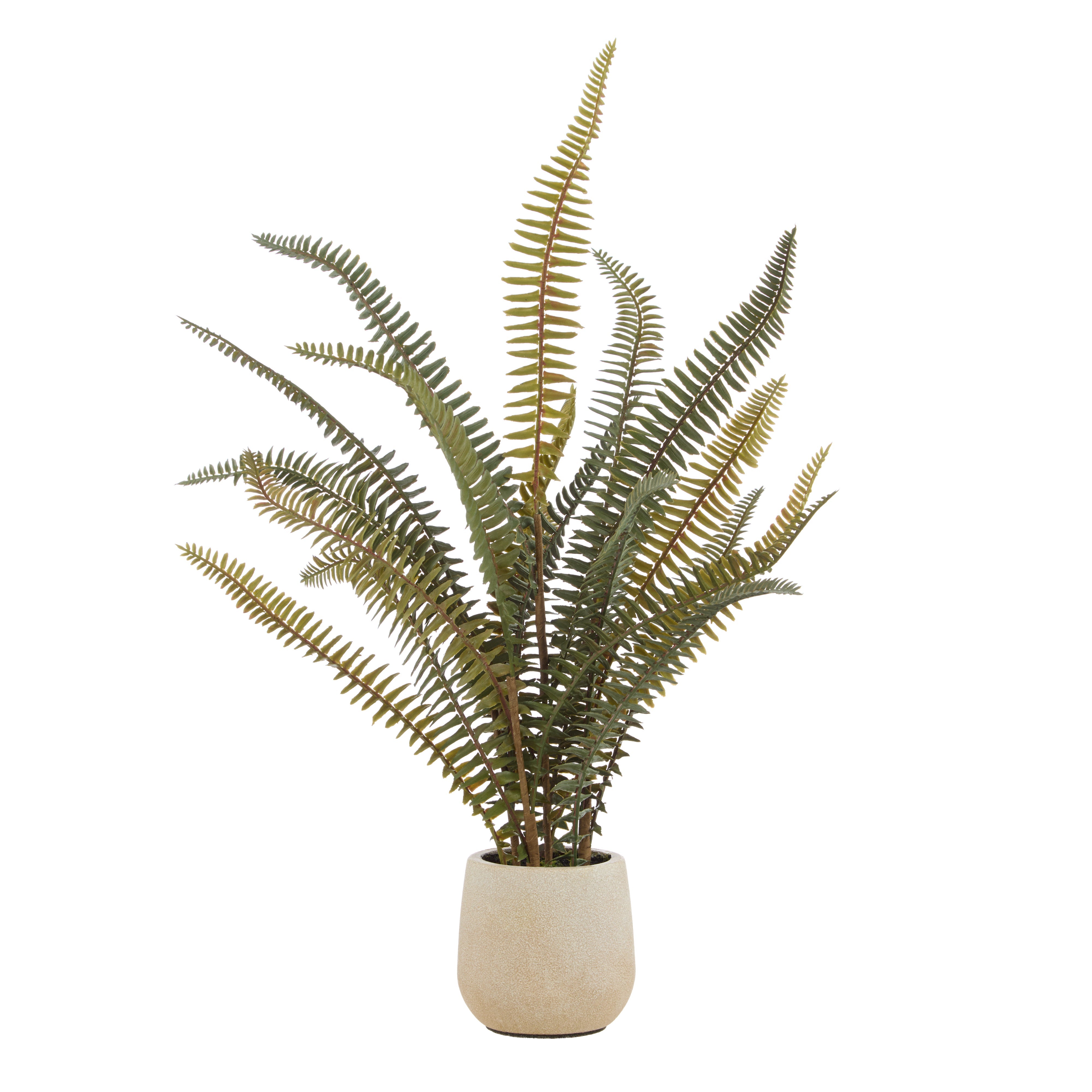 Rogue Boston Fern Pot 46cm