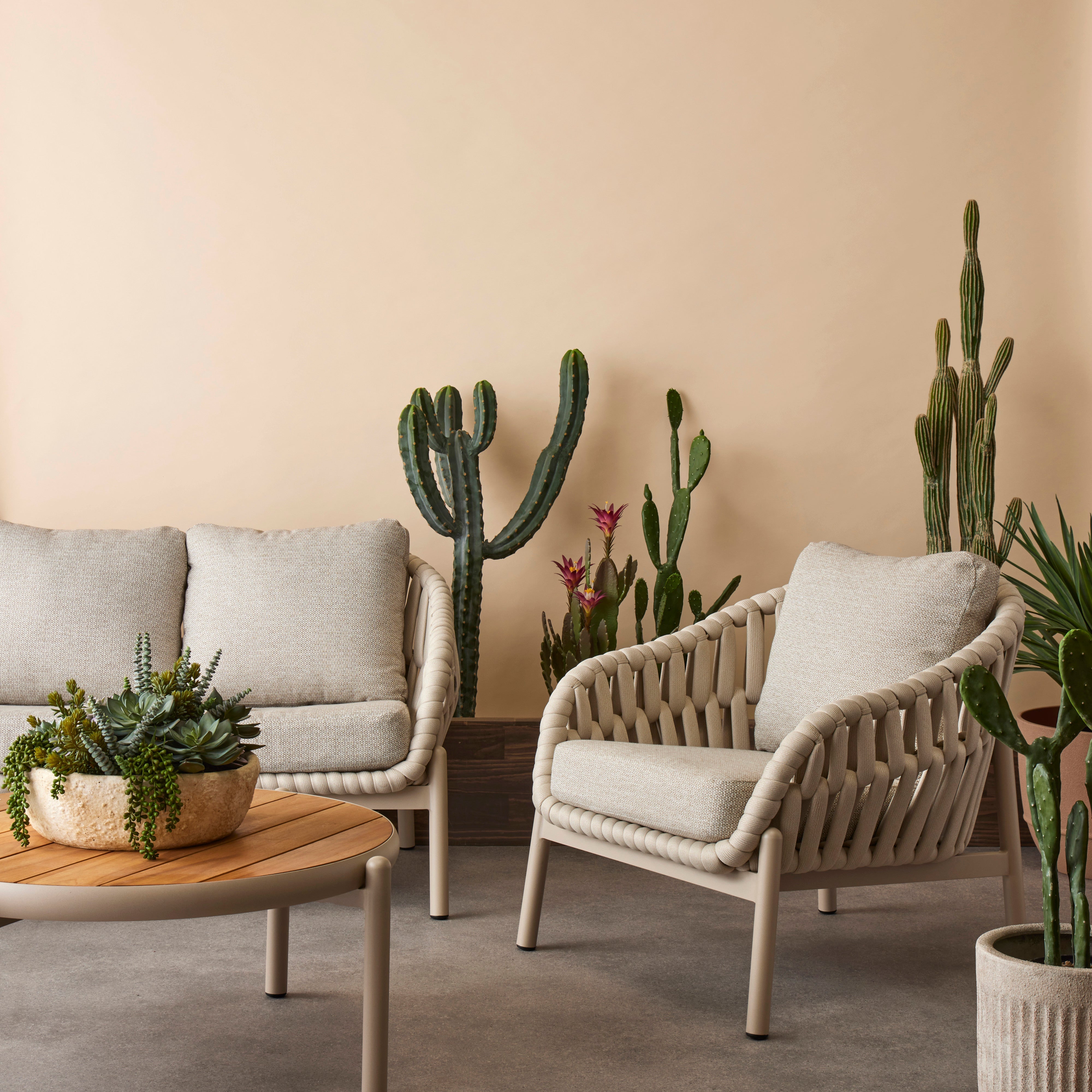 Rogue Saguaro Cactus - Garden Pot 123cm