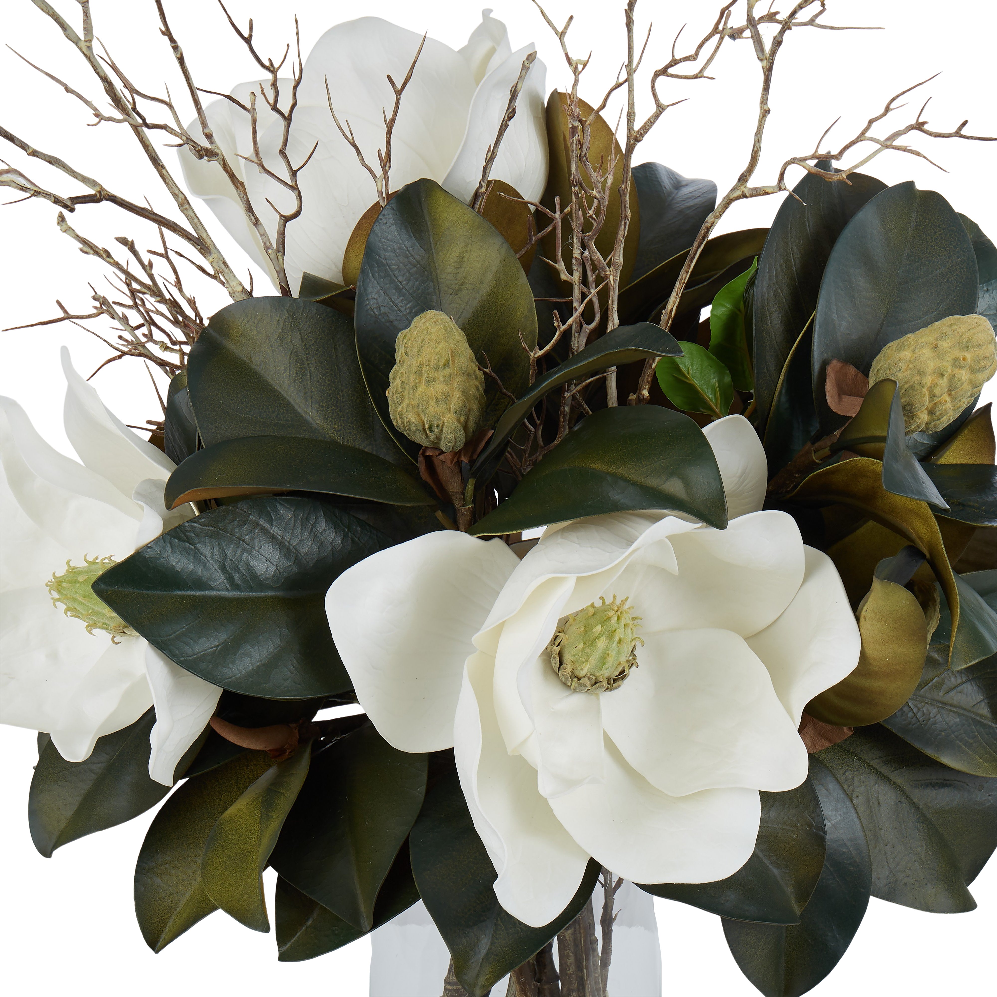 Rogue Magnolia Grandiflora - Alana Vase White