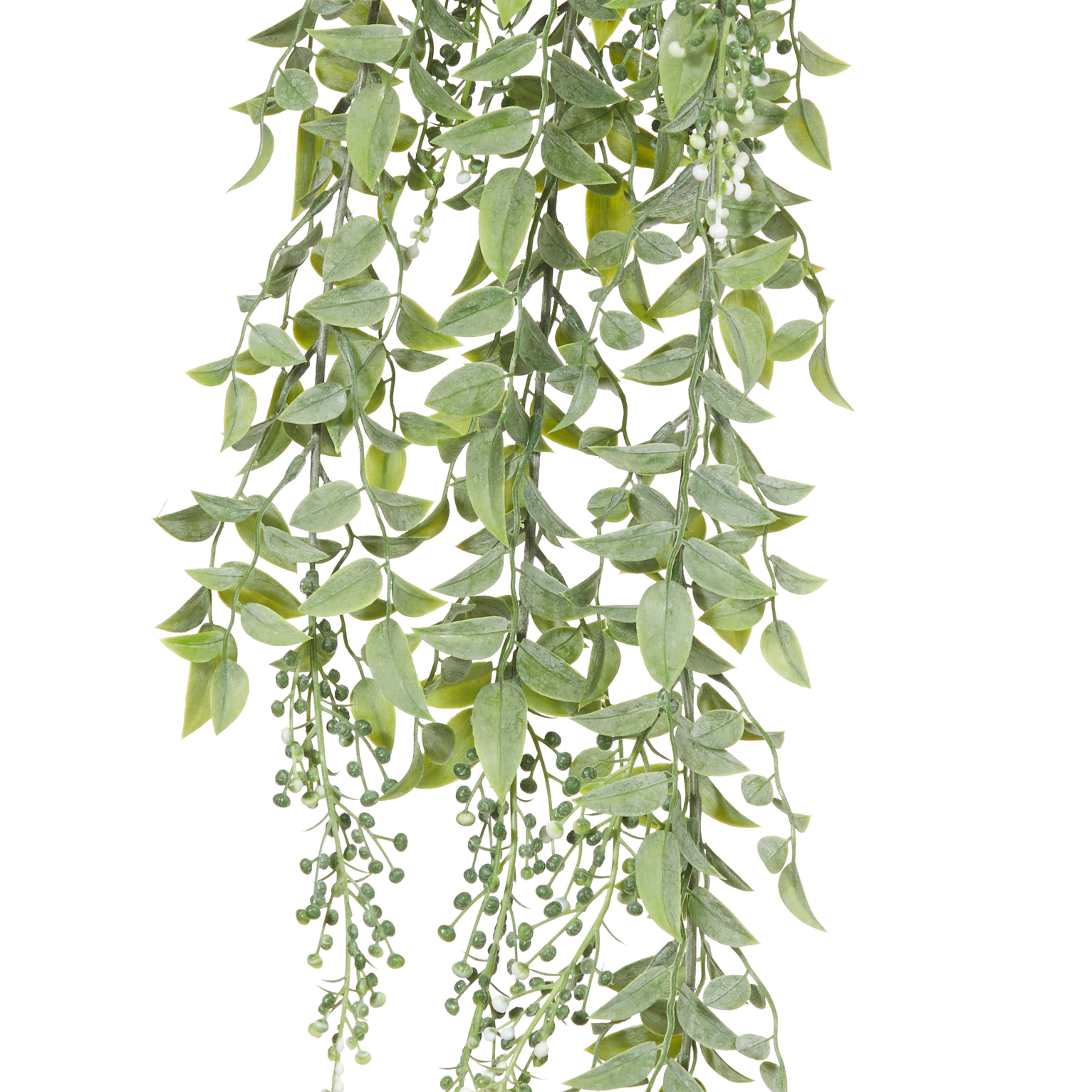 Rogue Budding Hanging Bush