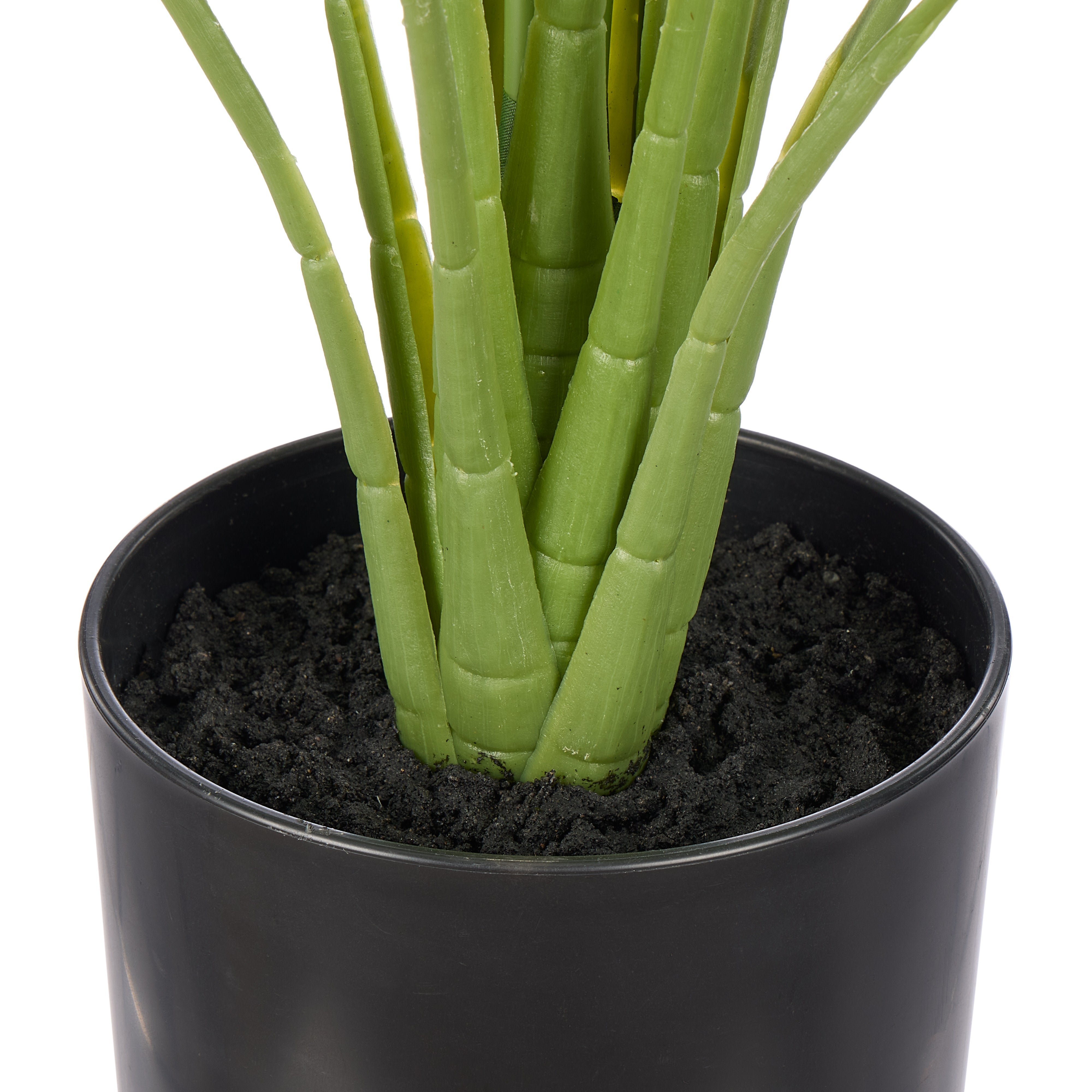 Rogue Peace Lily - Garden Pot 78cm