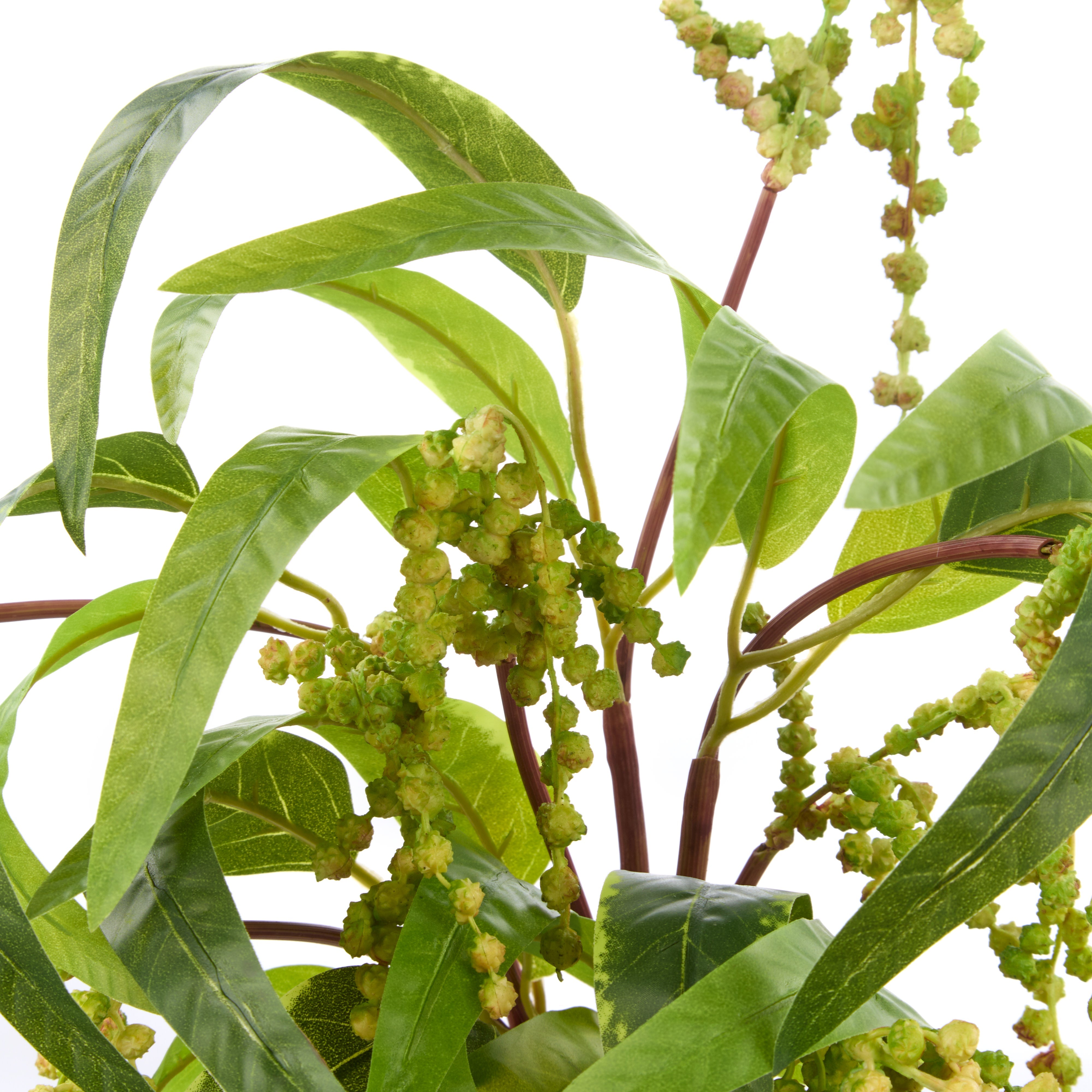 Rogue Golden Wattle Bunch Green & Yellow
