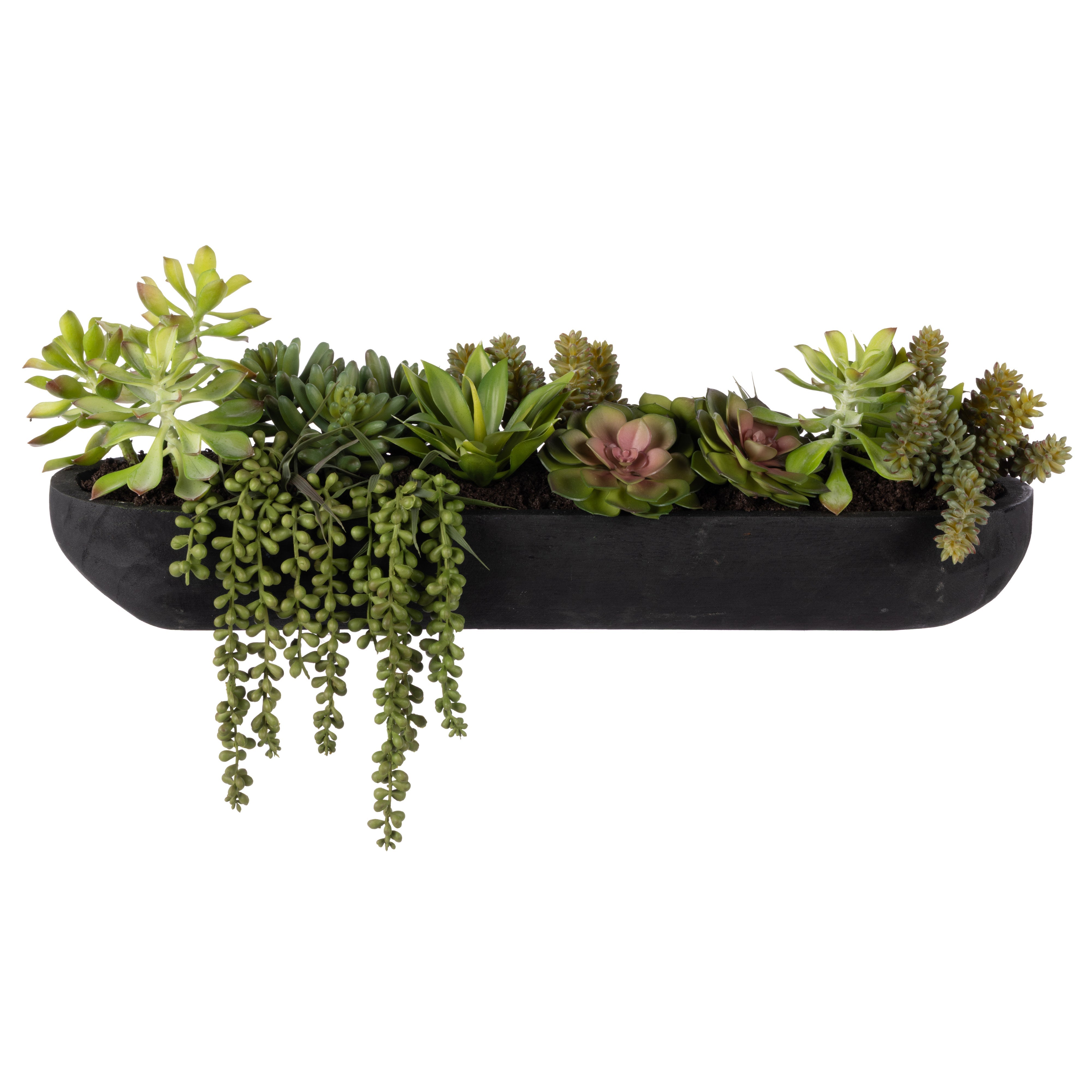 Rogue Succulent Mix - Dansk Tray