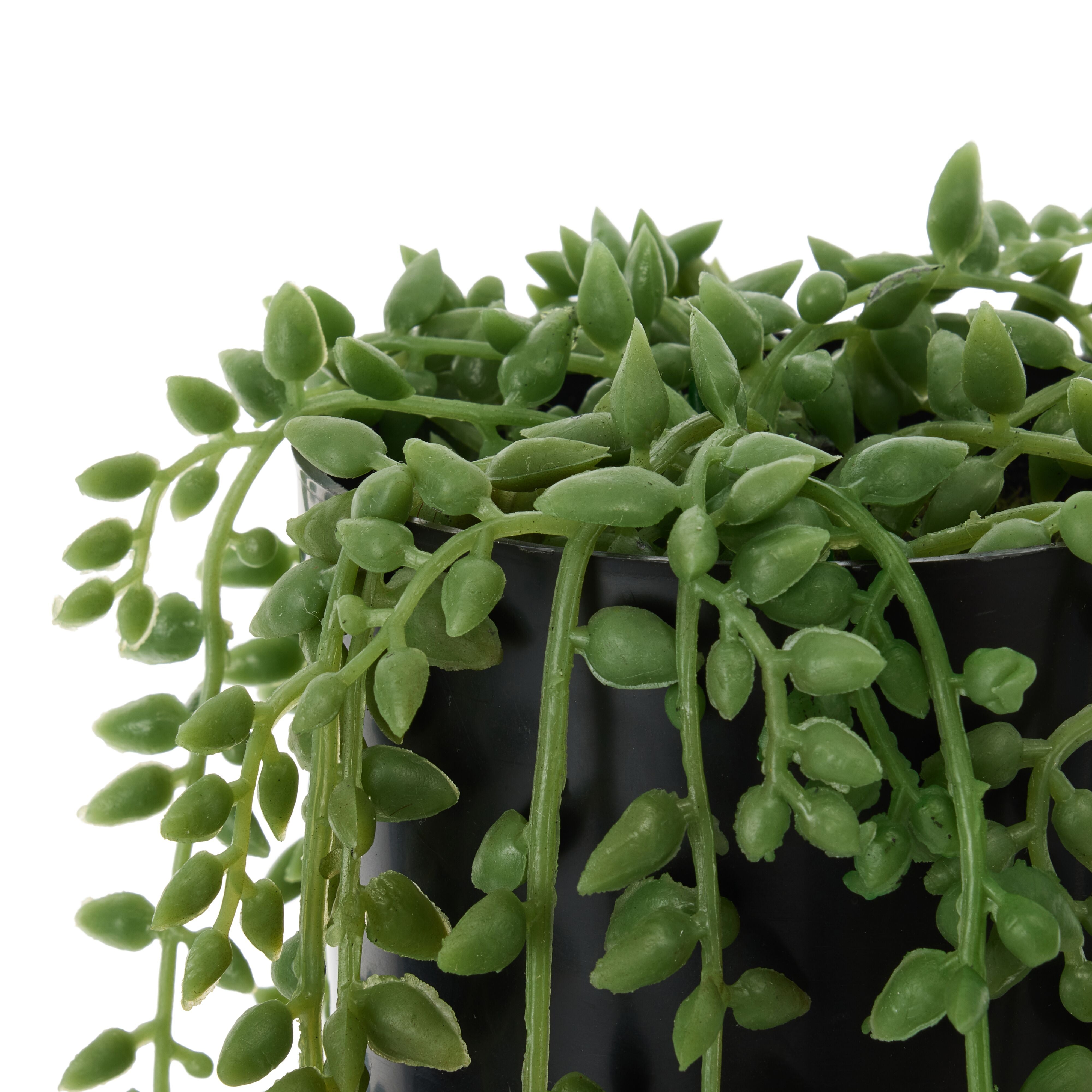 Rogue String of Teardrops - Garden Pot