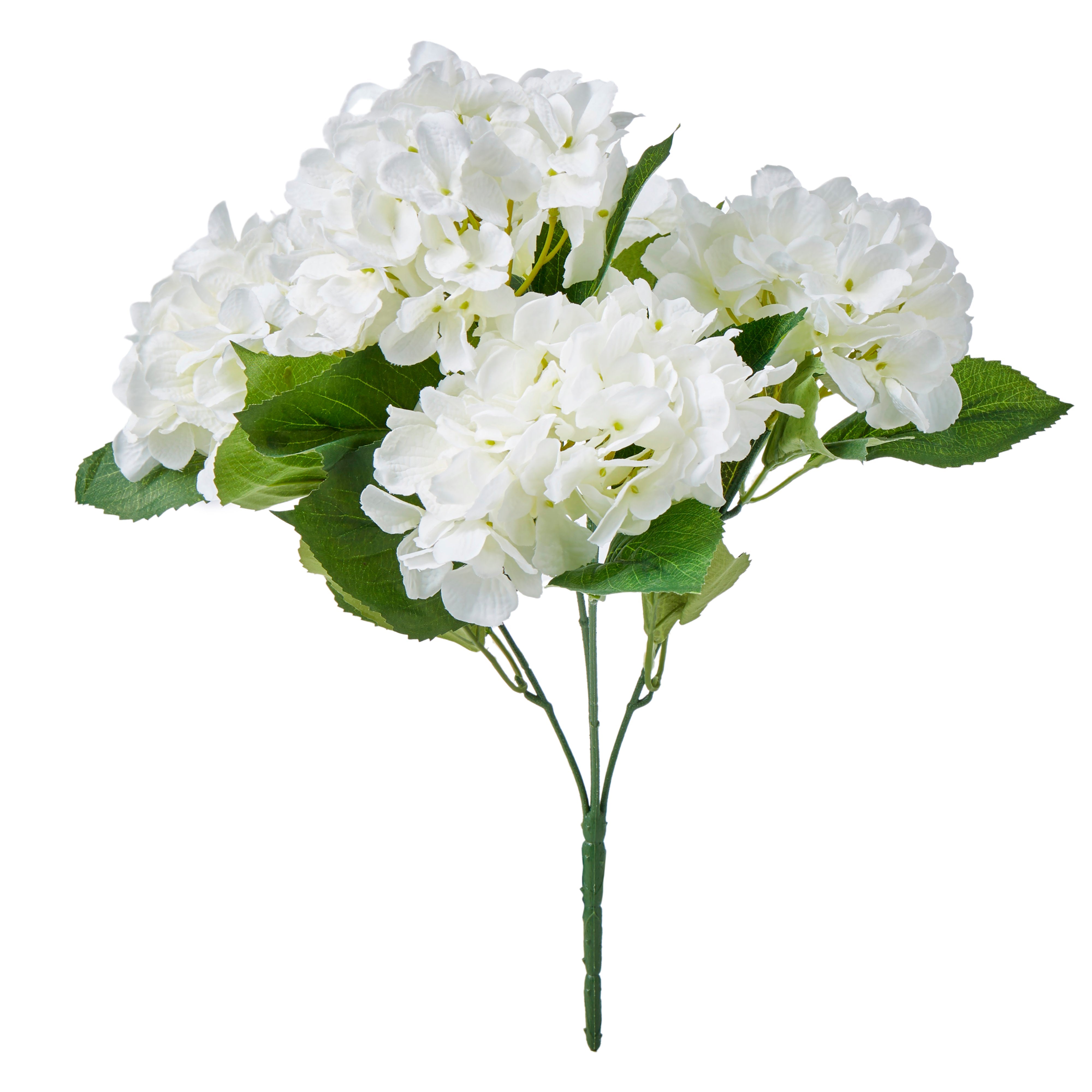 Rogue Hydrangea Bush White