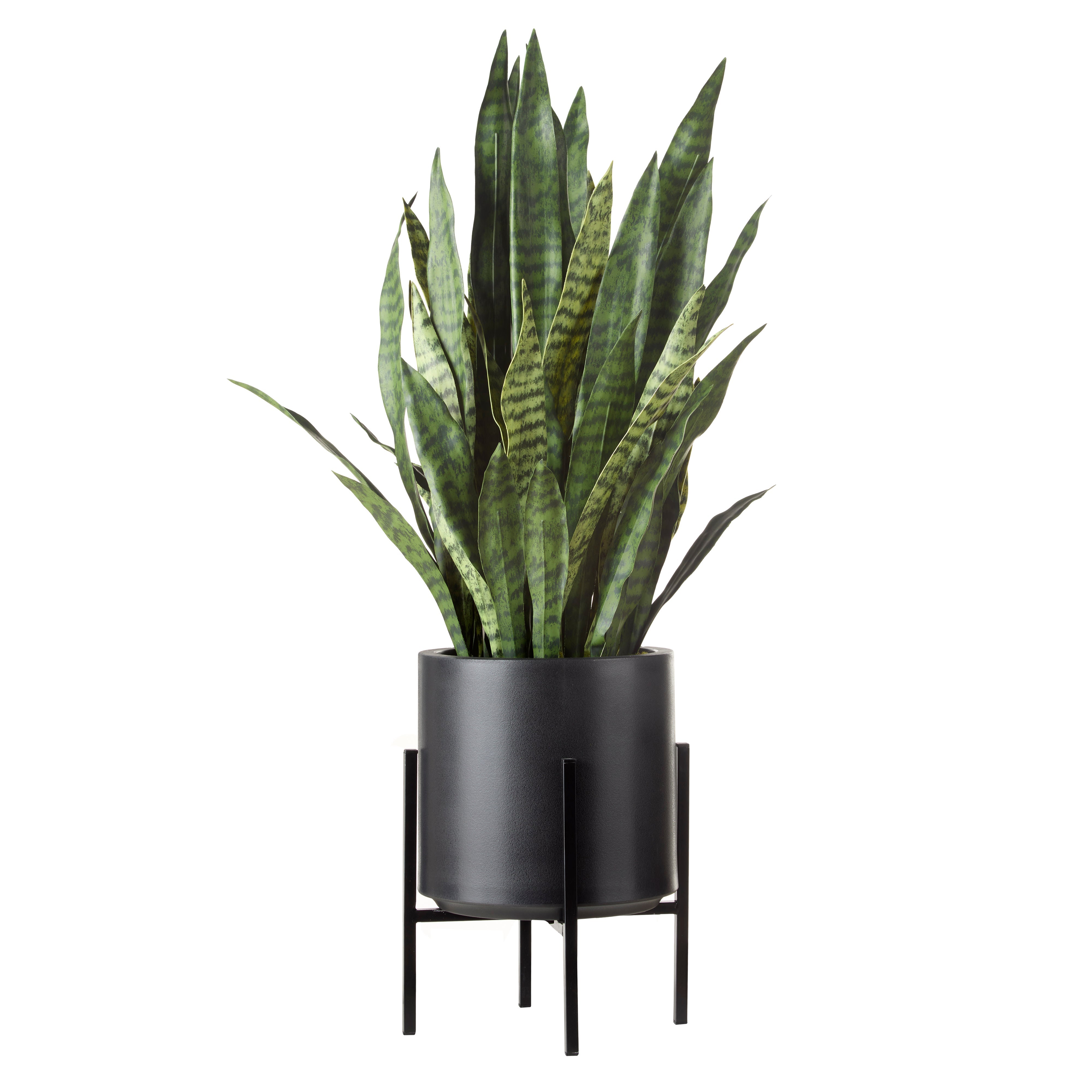 Rogue Sansevieria Plant Stand 92cm
