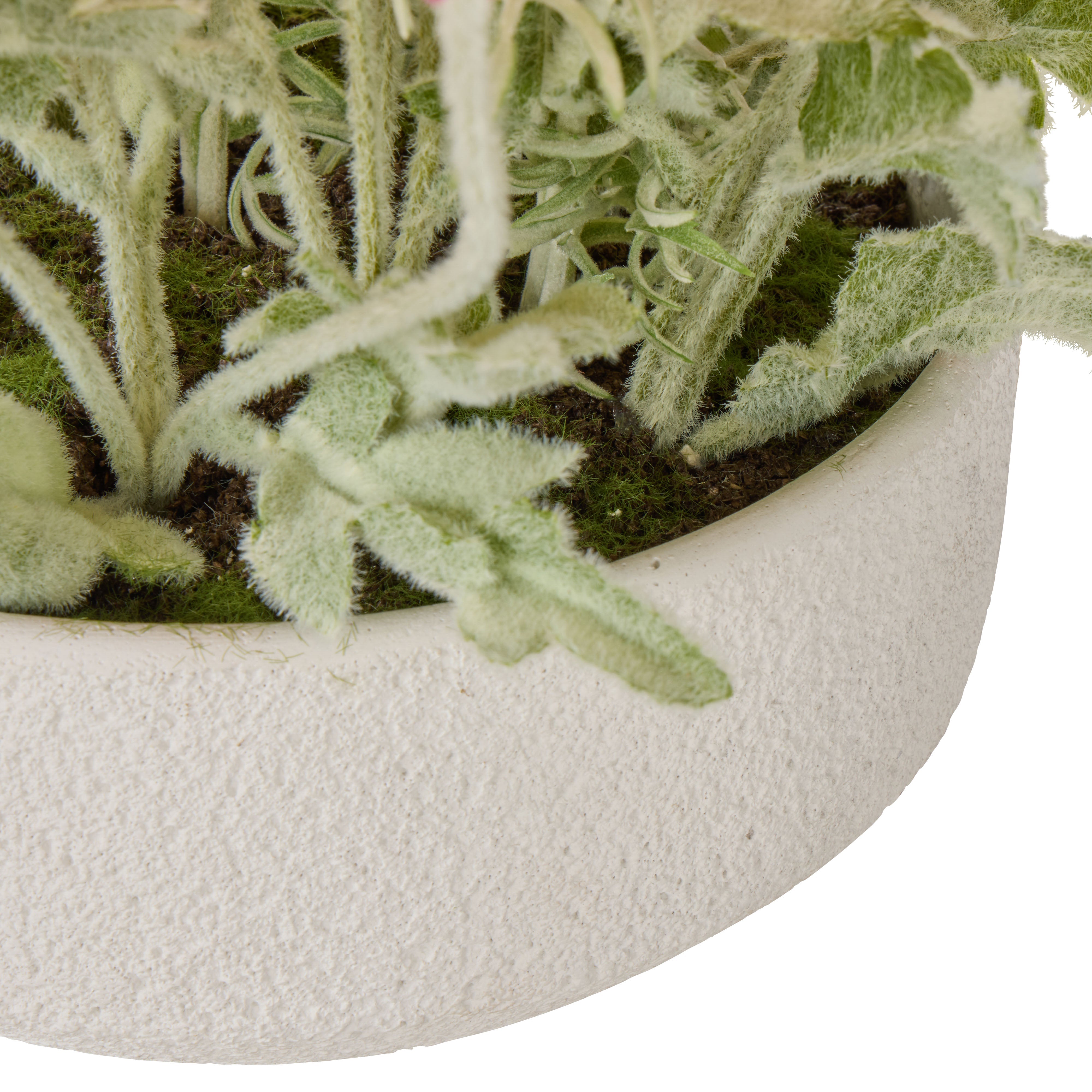 Rogue Poppy Garden - Delos Multi-Coloured & White