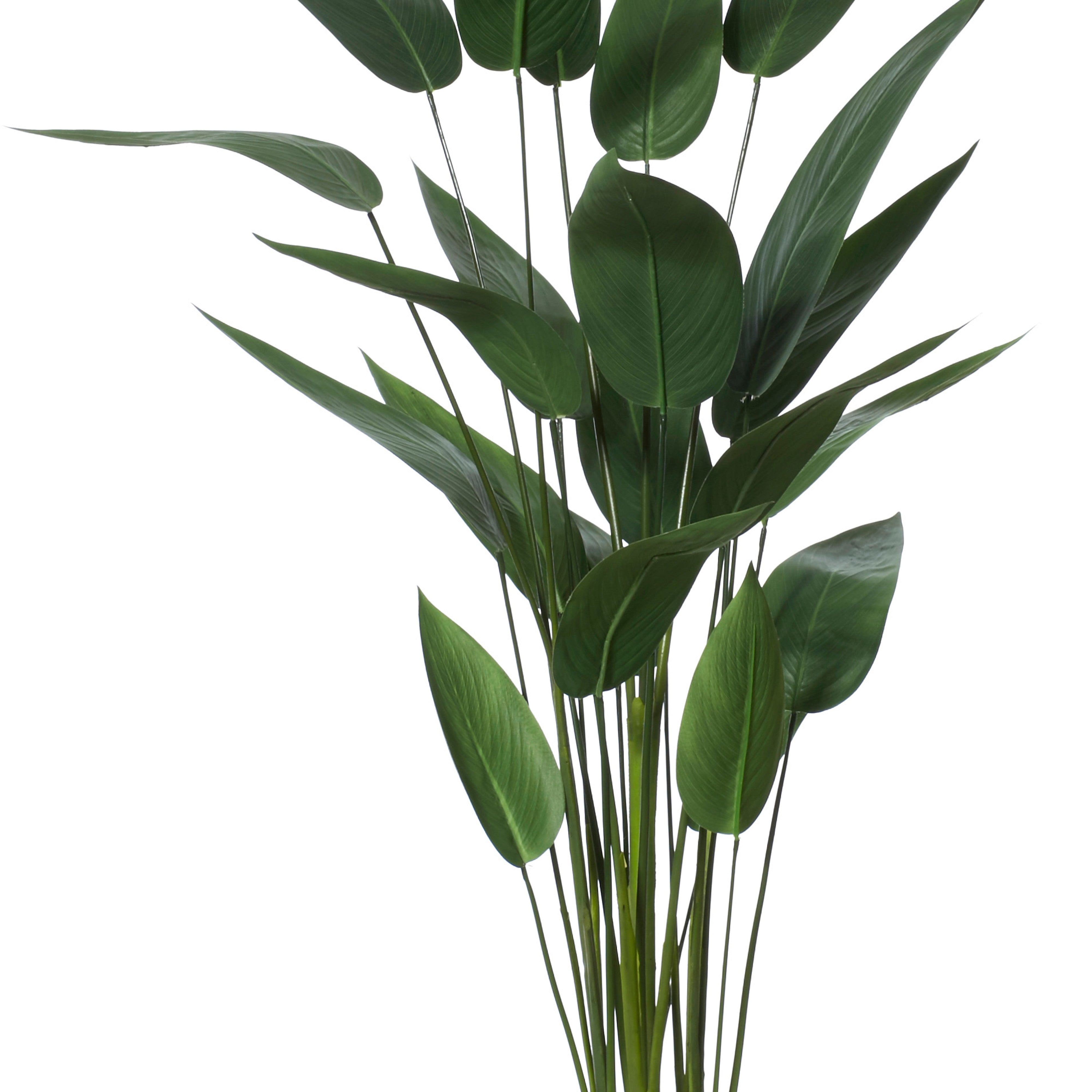 Rogue Sky Bird Plant 120cm