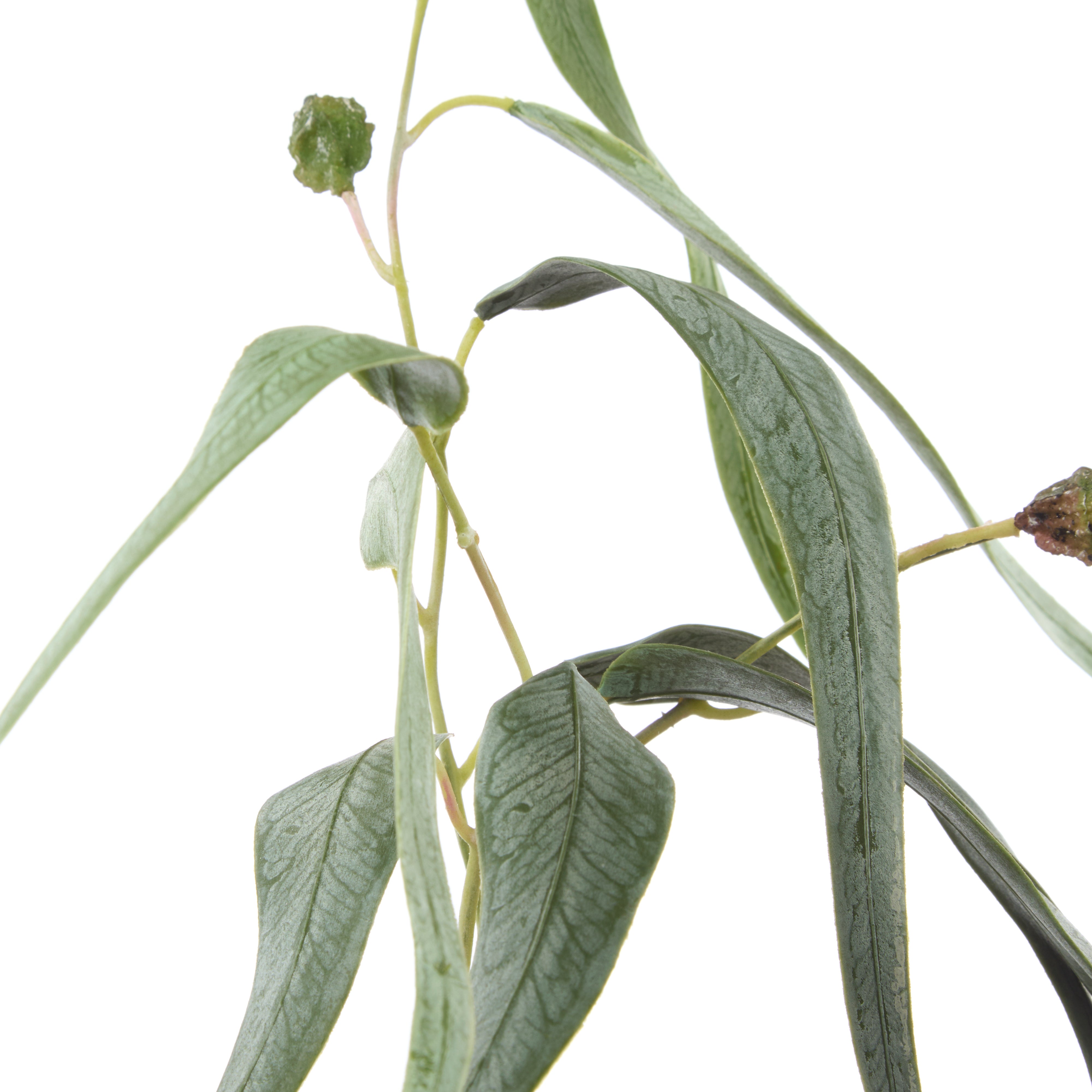 Rogue Eucalyptus Gumnut Spray Green 122cm