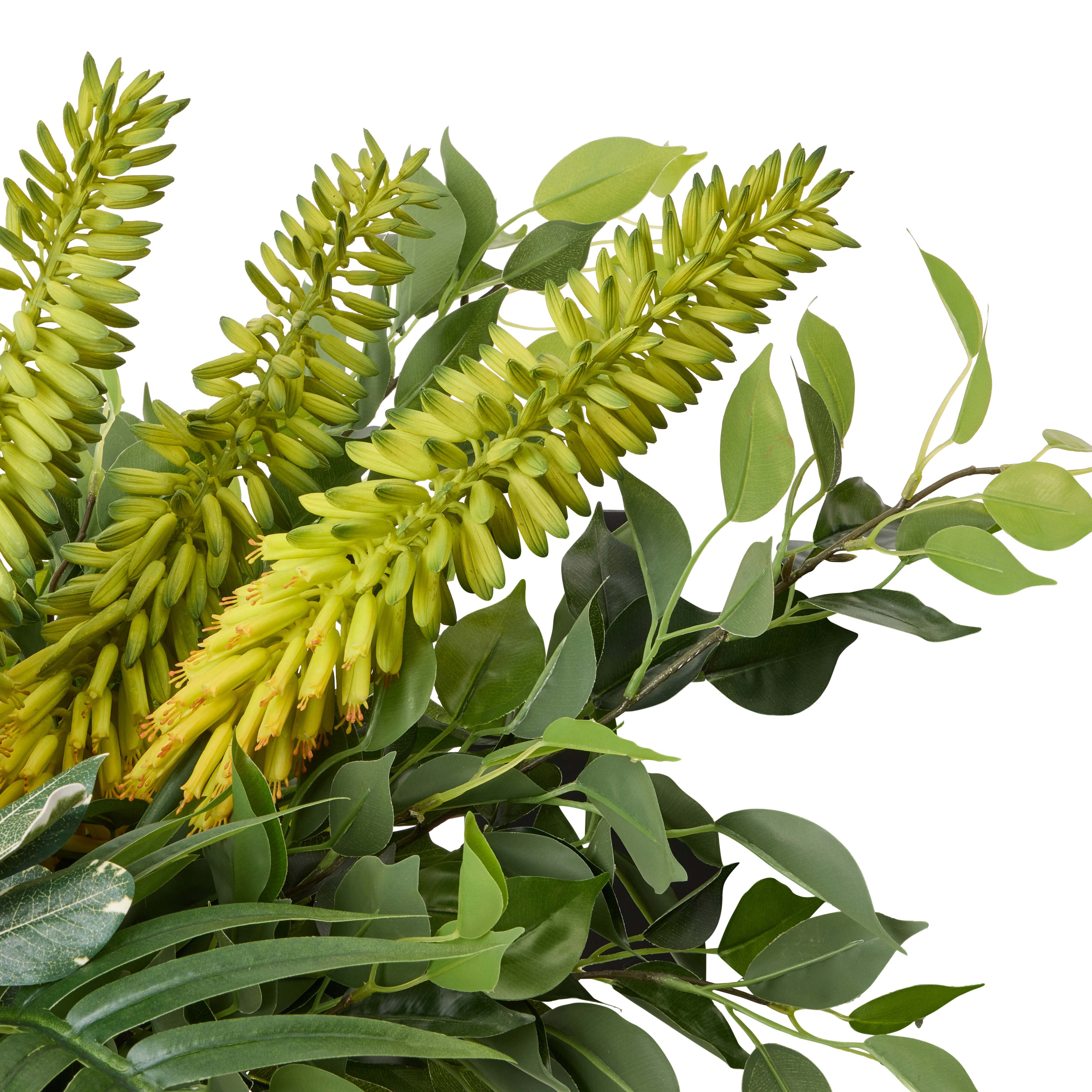 Rogue Torch Lily Ficus Mix - Stella Vase