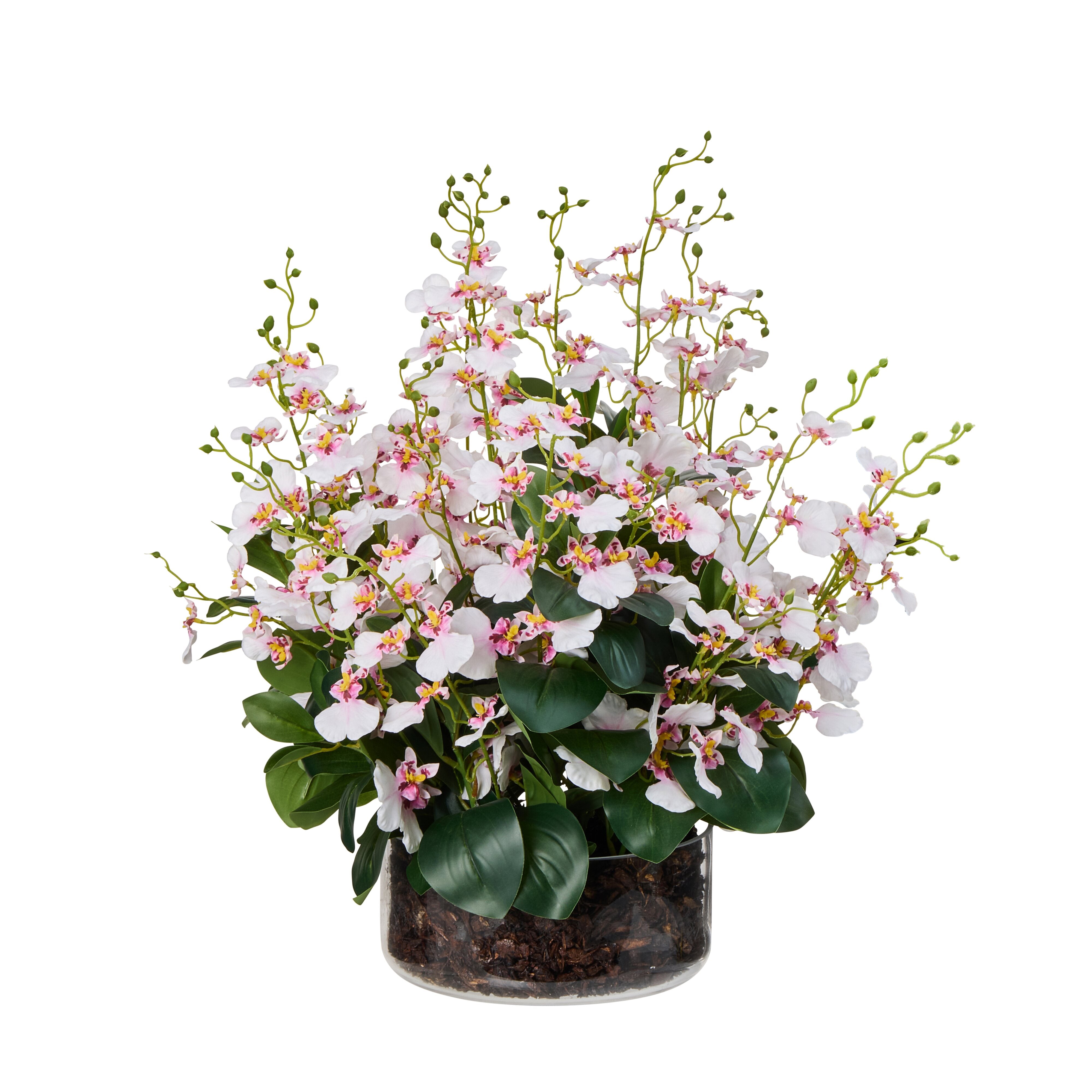 Rogue Dancing Orchid - Madelyn Bowl