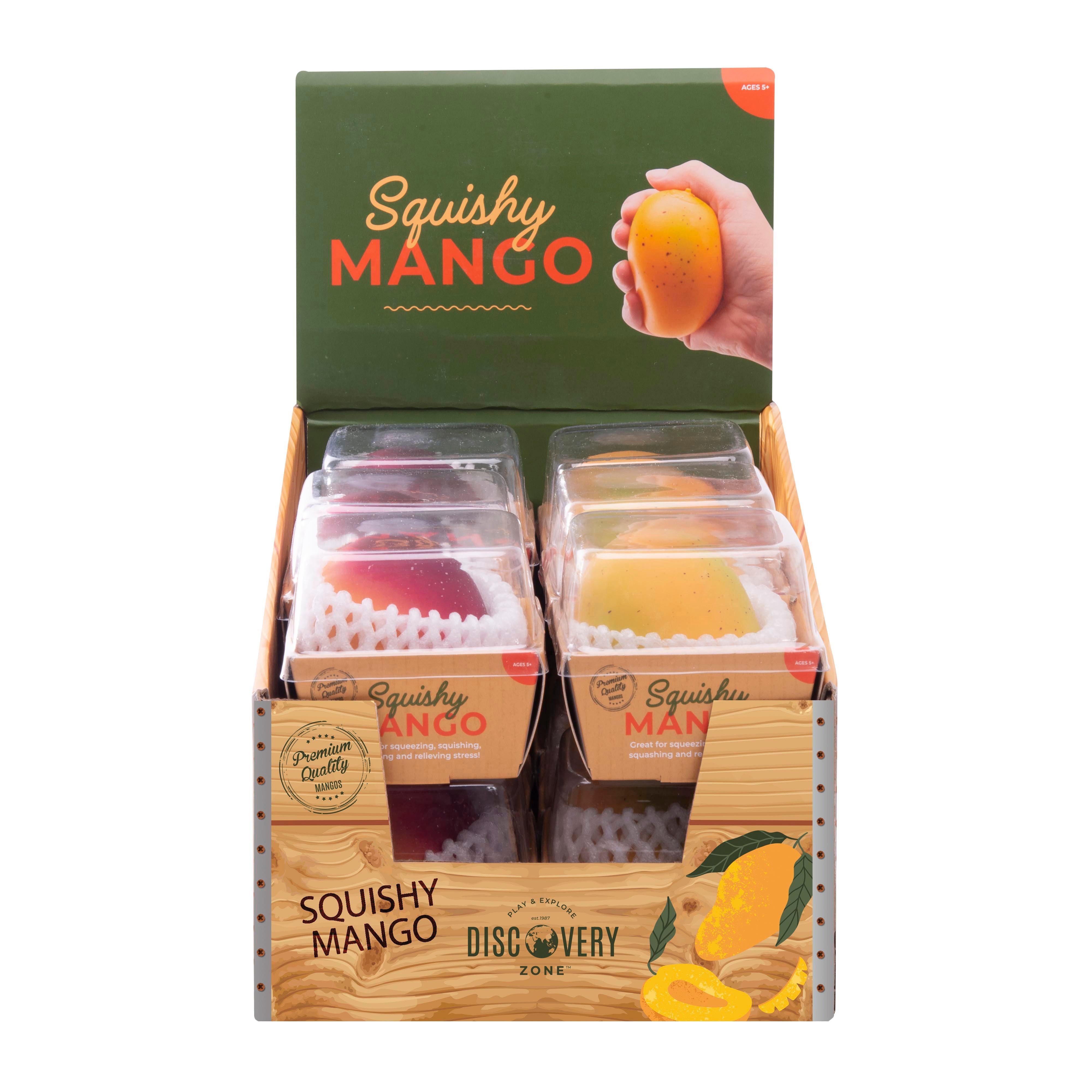 Discovery Zone Squishy Mango