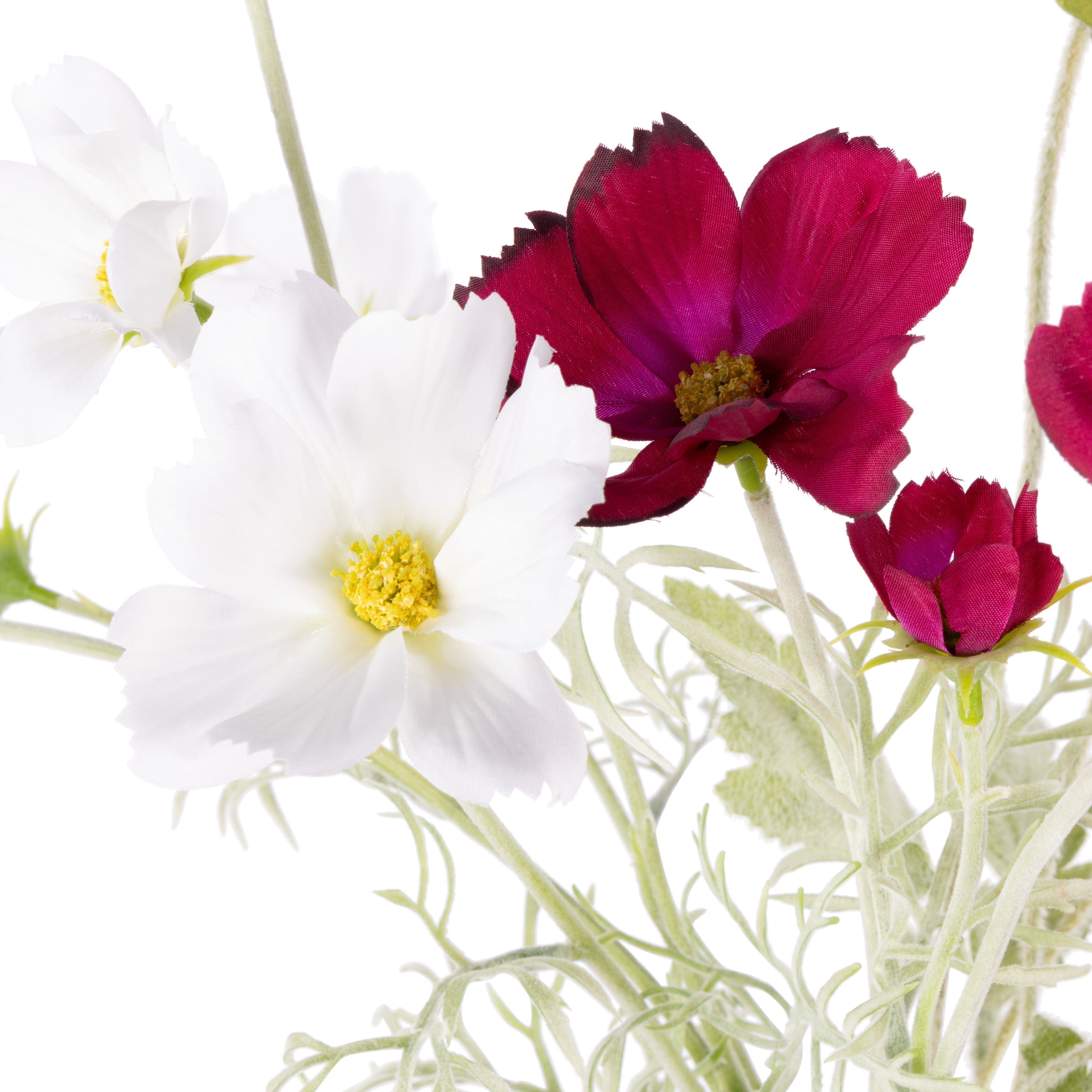 Rogue Poppy Cosmos Mix - Giselle Vase Pink & Purple & White