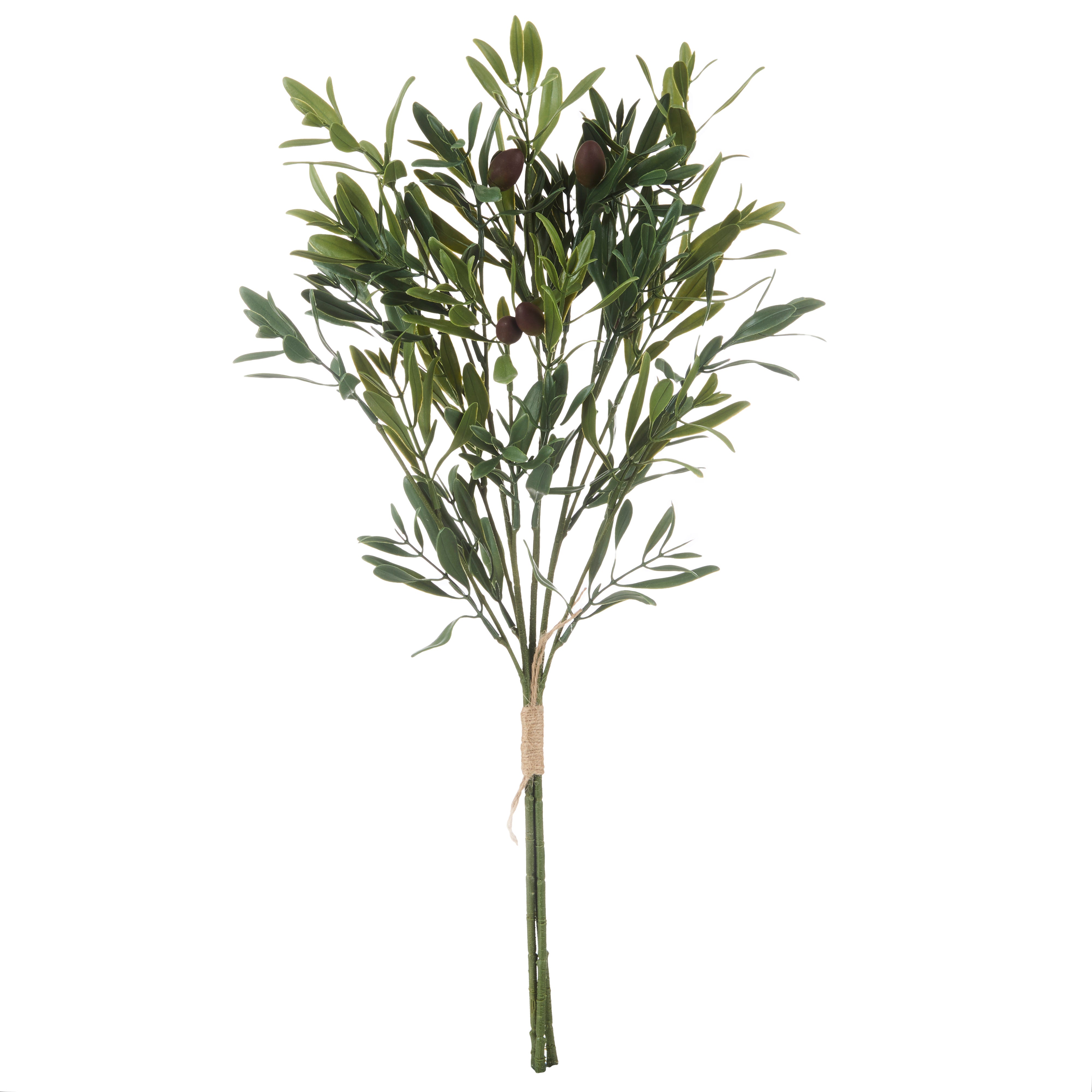 Rogue Olive Bunch