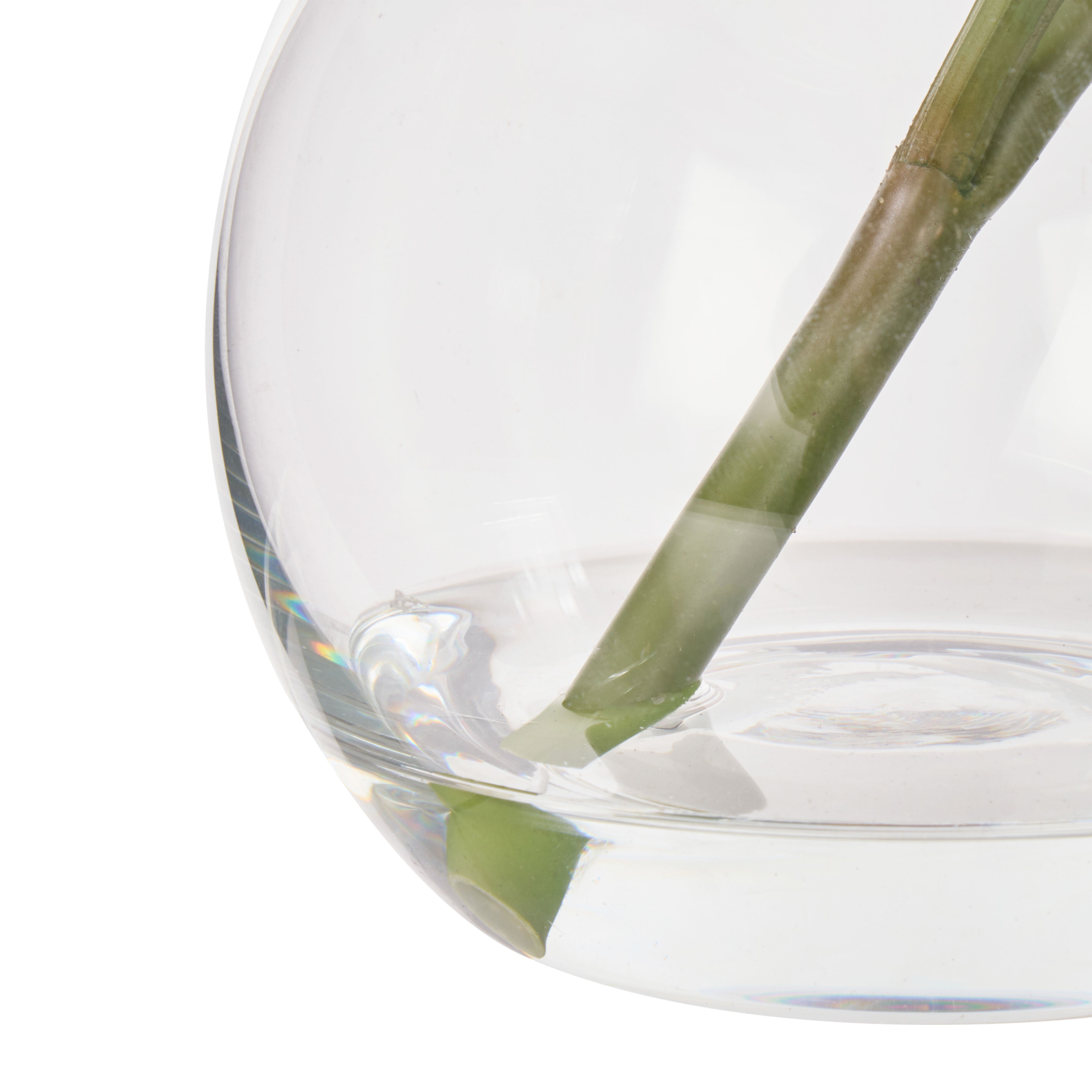 Rogue Cymbidium-Glass Vase White