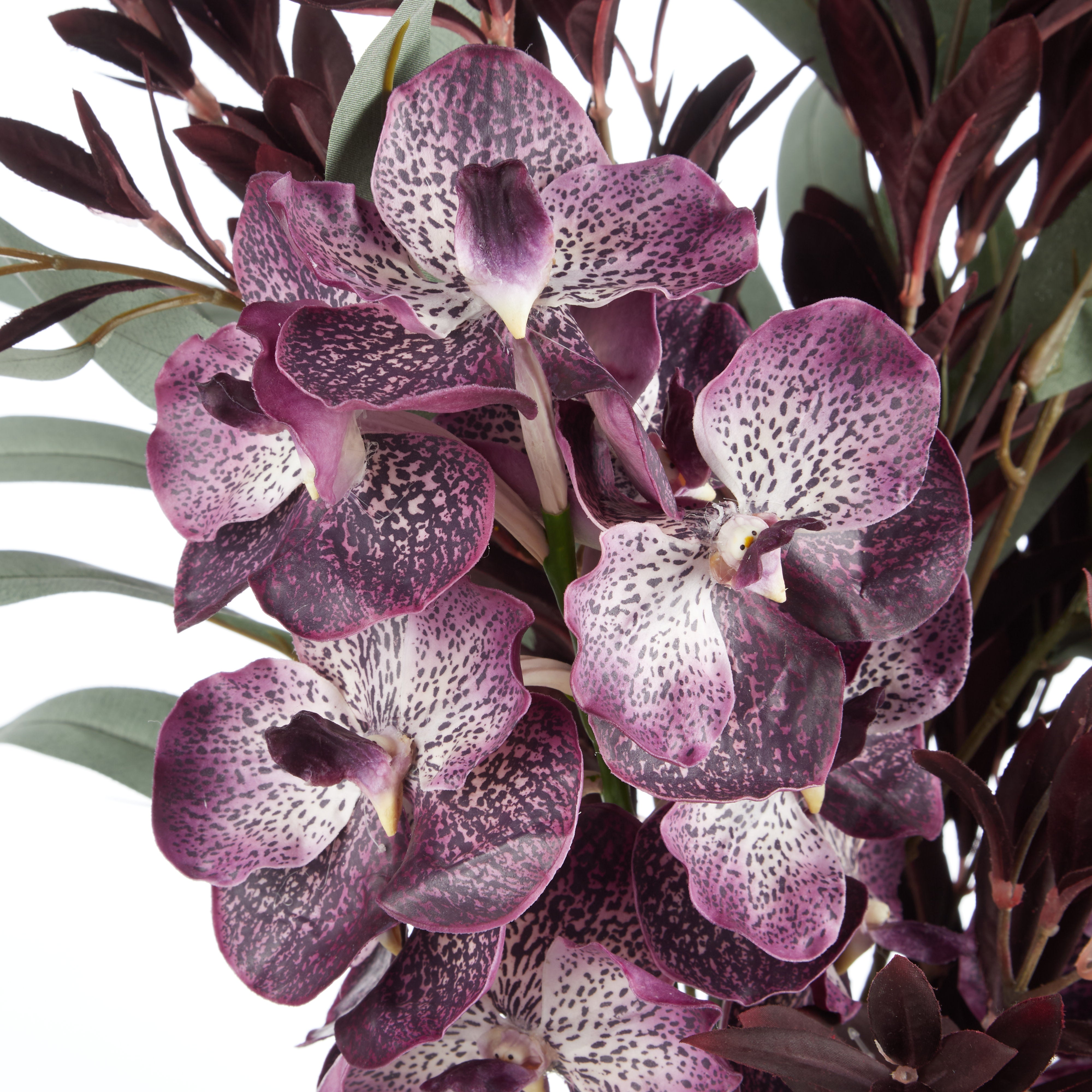 Rogue Vanda Orchid Astilbe Spray Mix - Alana Vase Burgundy & Green