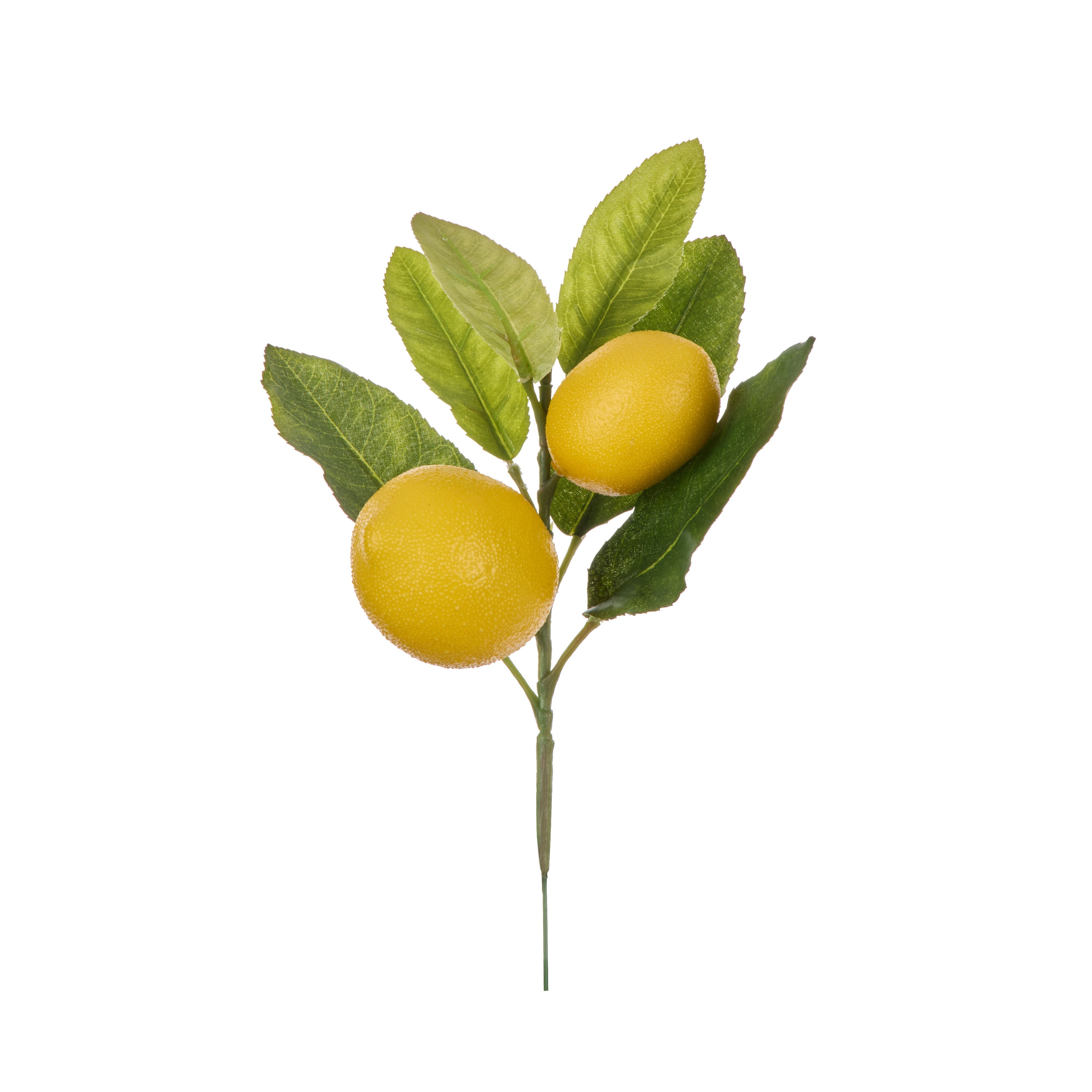 Rogue Lemon Spray with Leaves