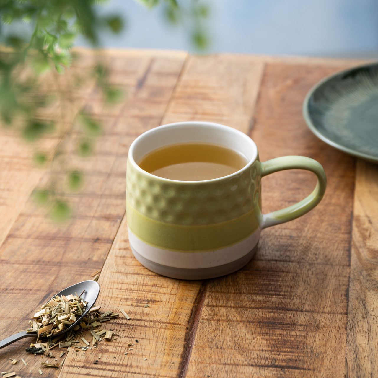 Mikasa Stoneware Mug 320ml (Textured Ombre Green)