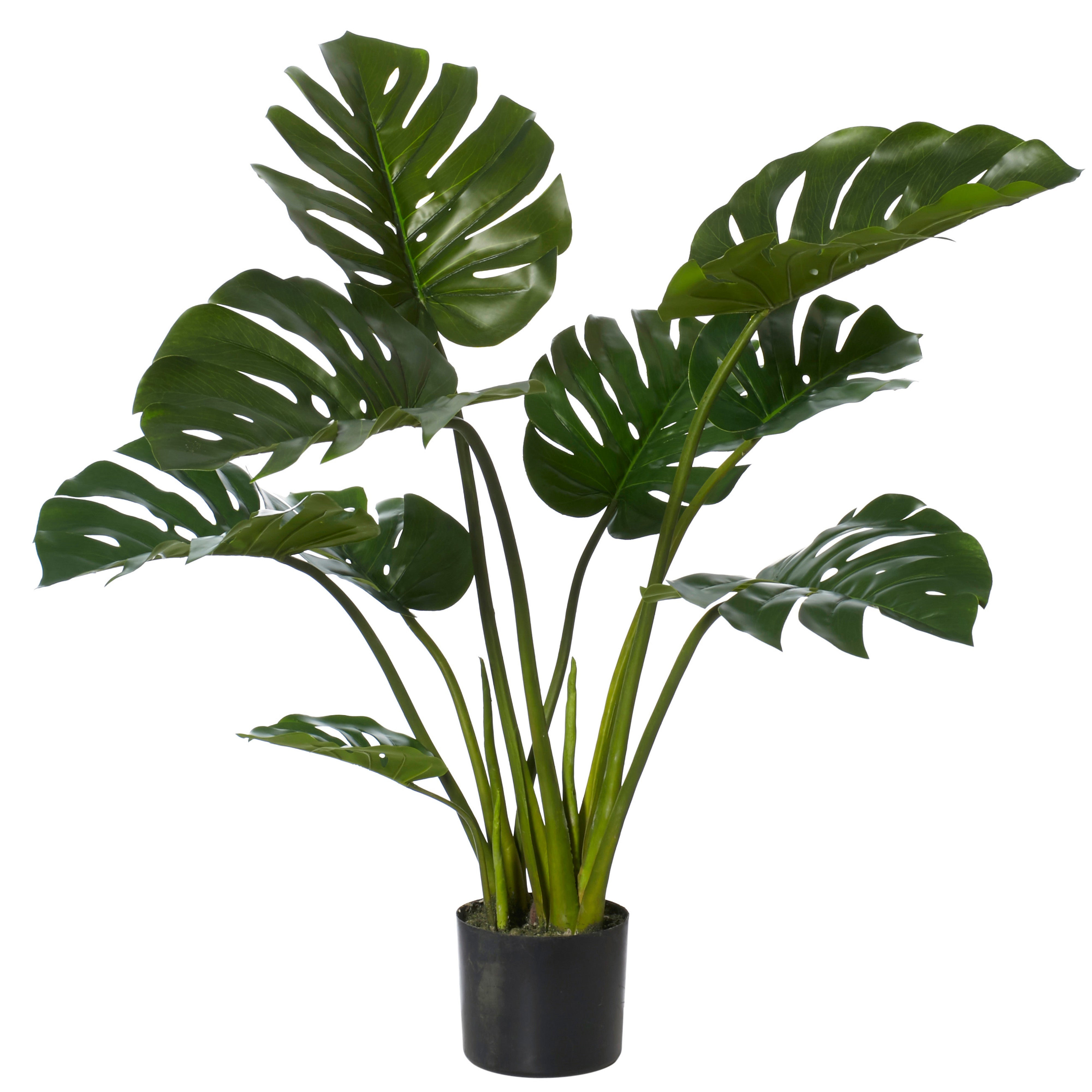 Rogue Monstera Plant - Garden Pot Green/Black 91cm