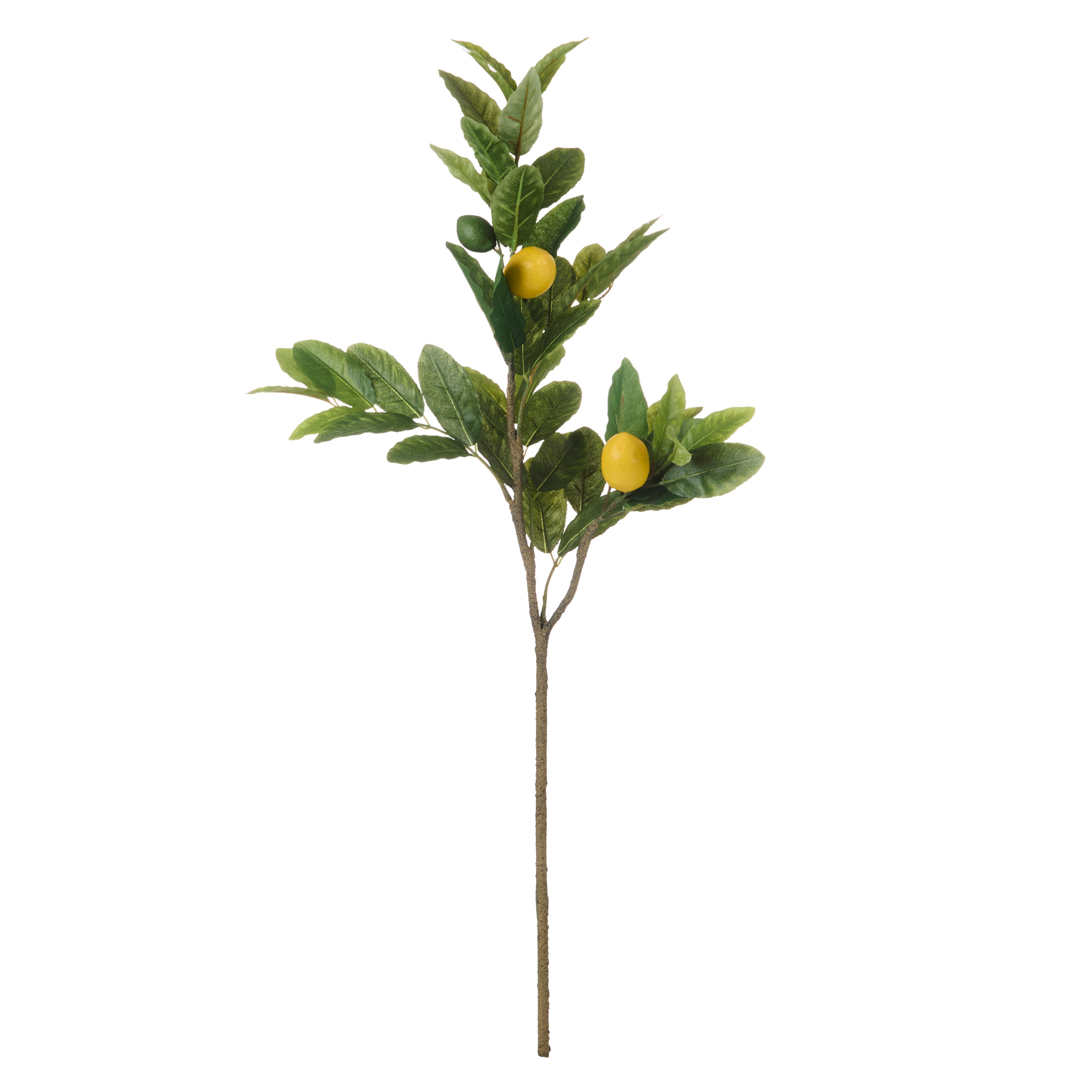 Rogue Lemon Spray