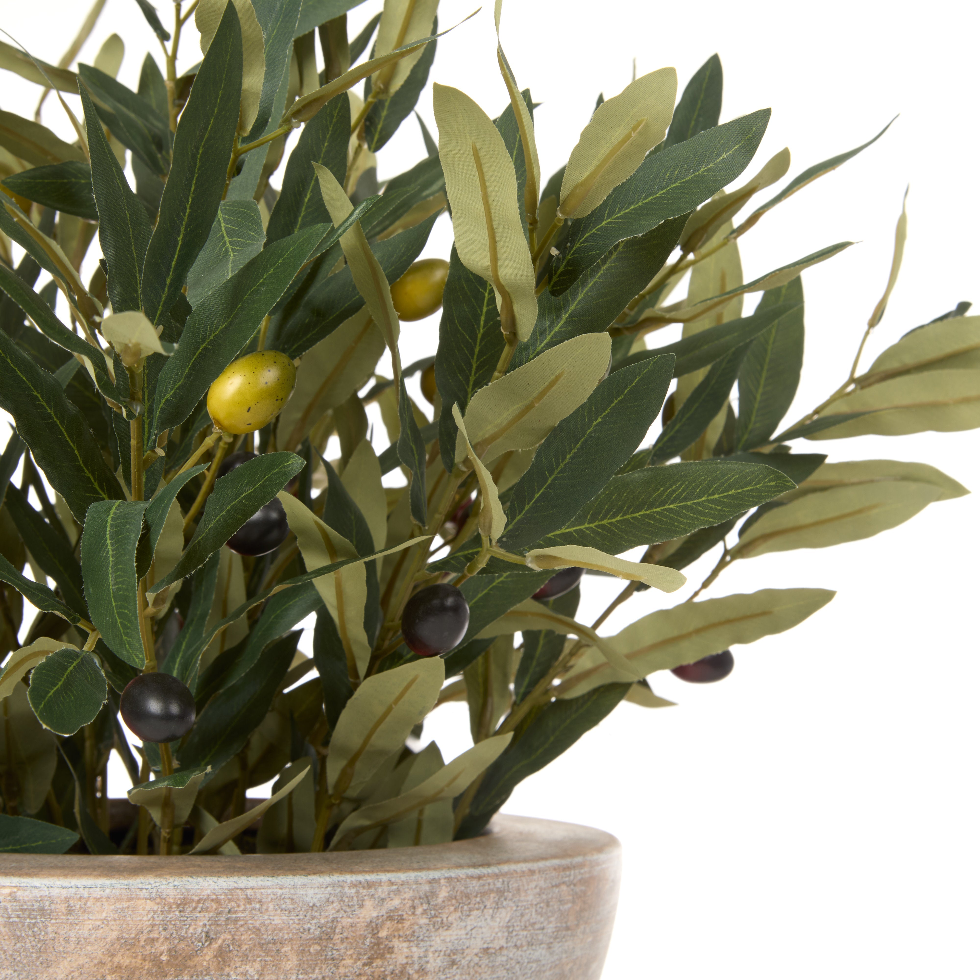 Rogue Olive Spray - Earthenware Bowl Green & Purple
