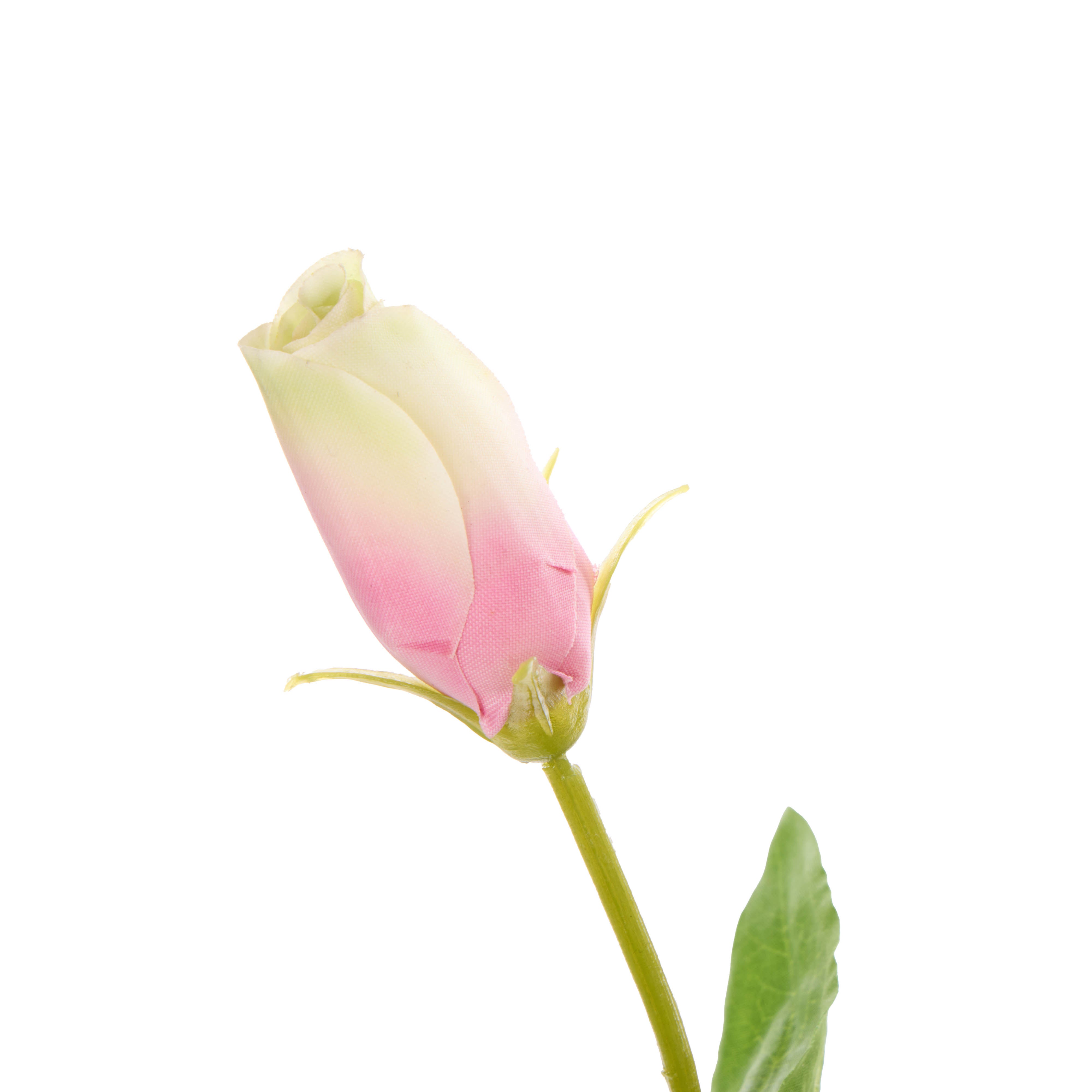 Rogue Lisianthus - Specimen Glass Vase Pink