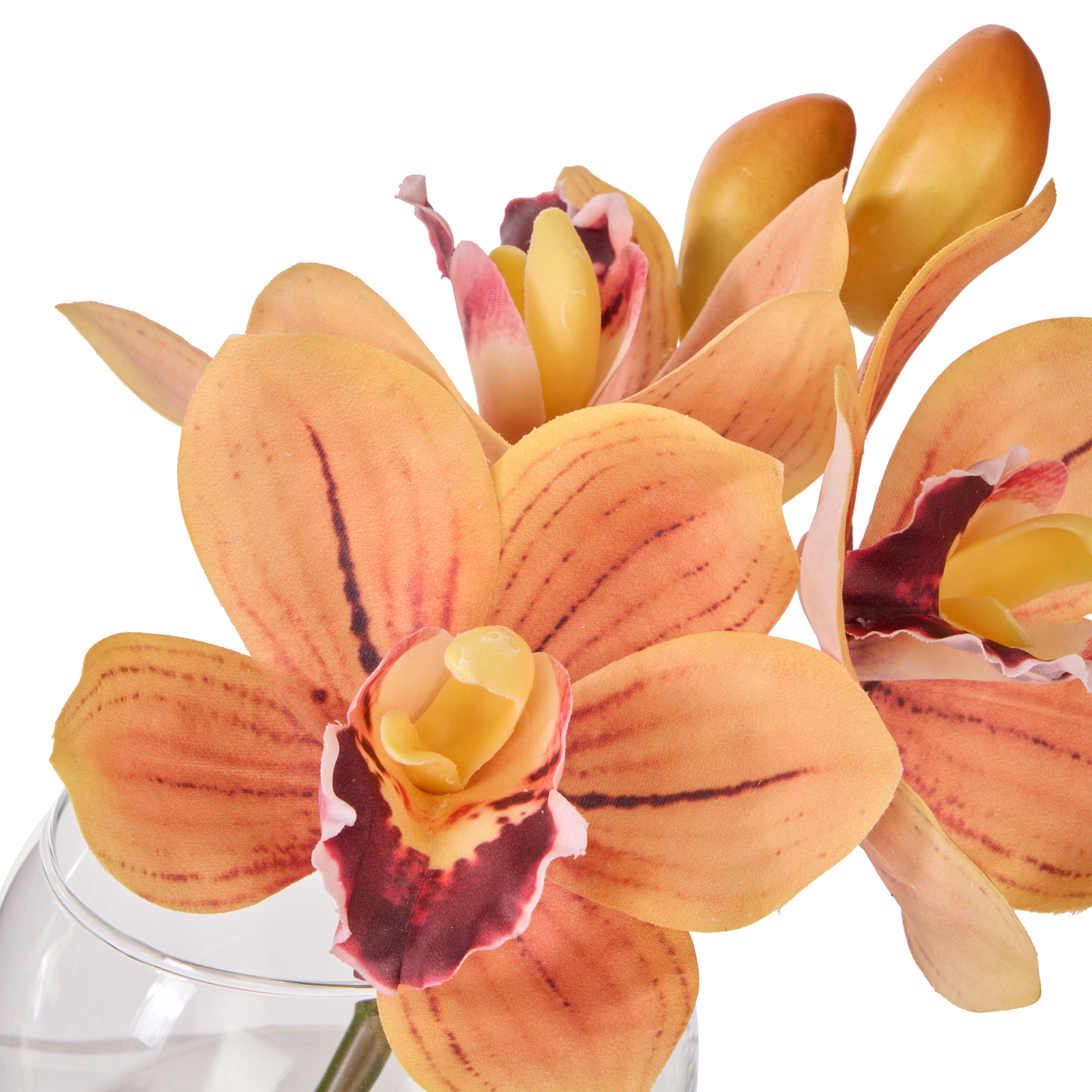 Rogue Cymbidium-Glass Vase Orange 16cm