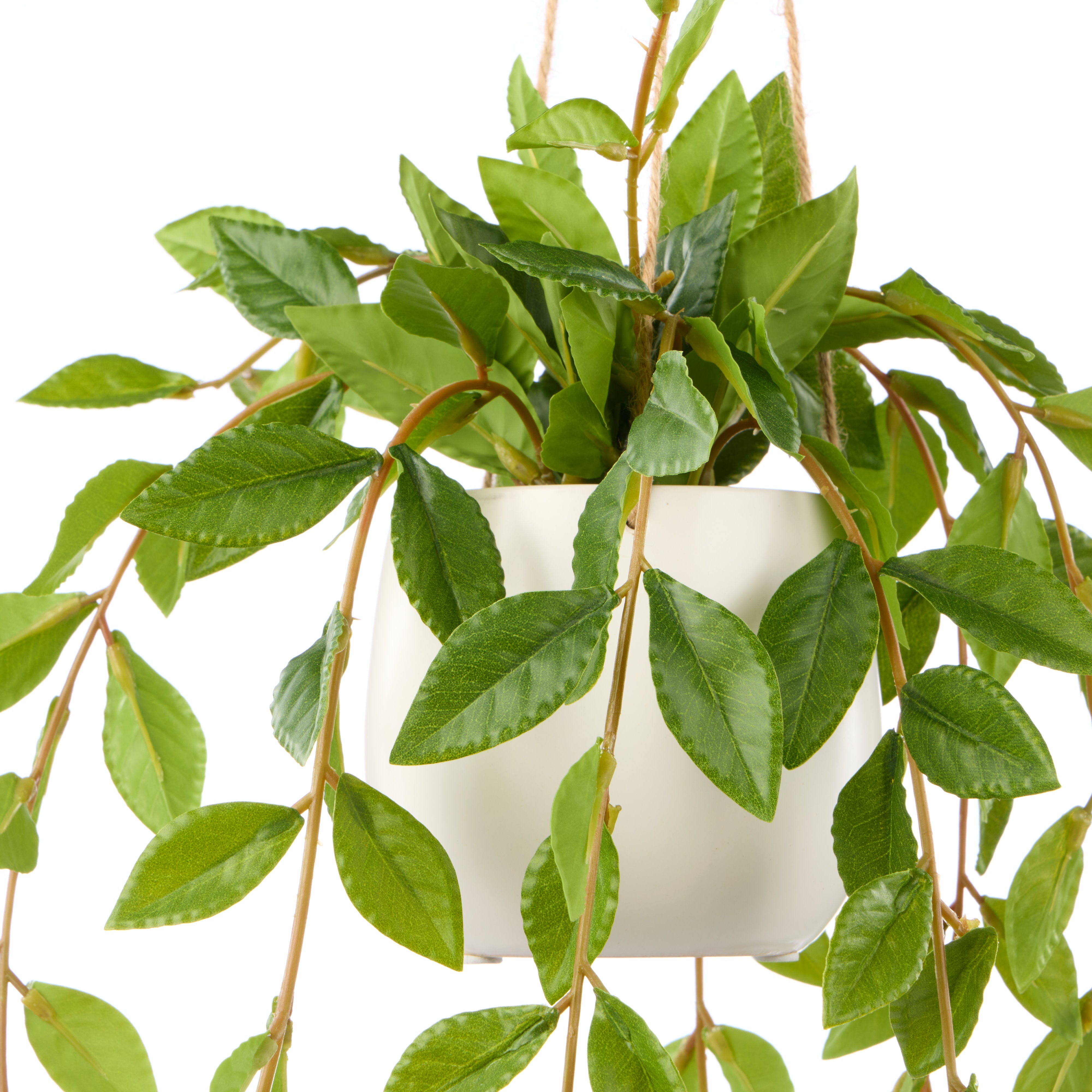 Rogue Lush Leaf Hanging Pot