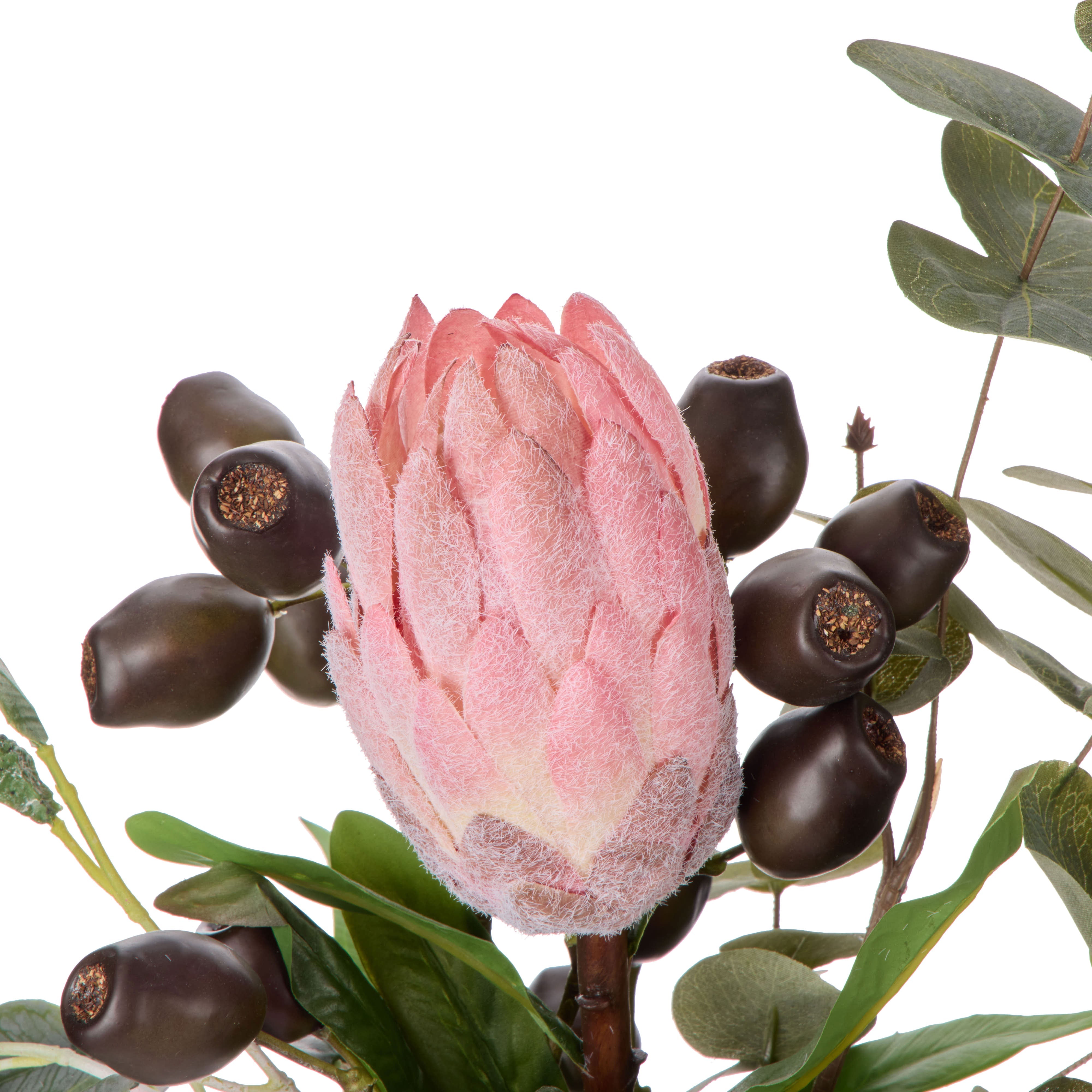 Rogue Protea Seeding Mix - Pauline Rust & Green