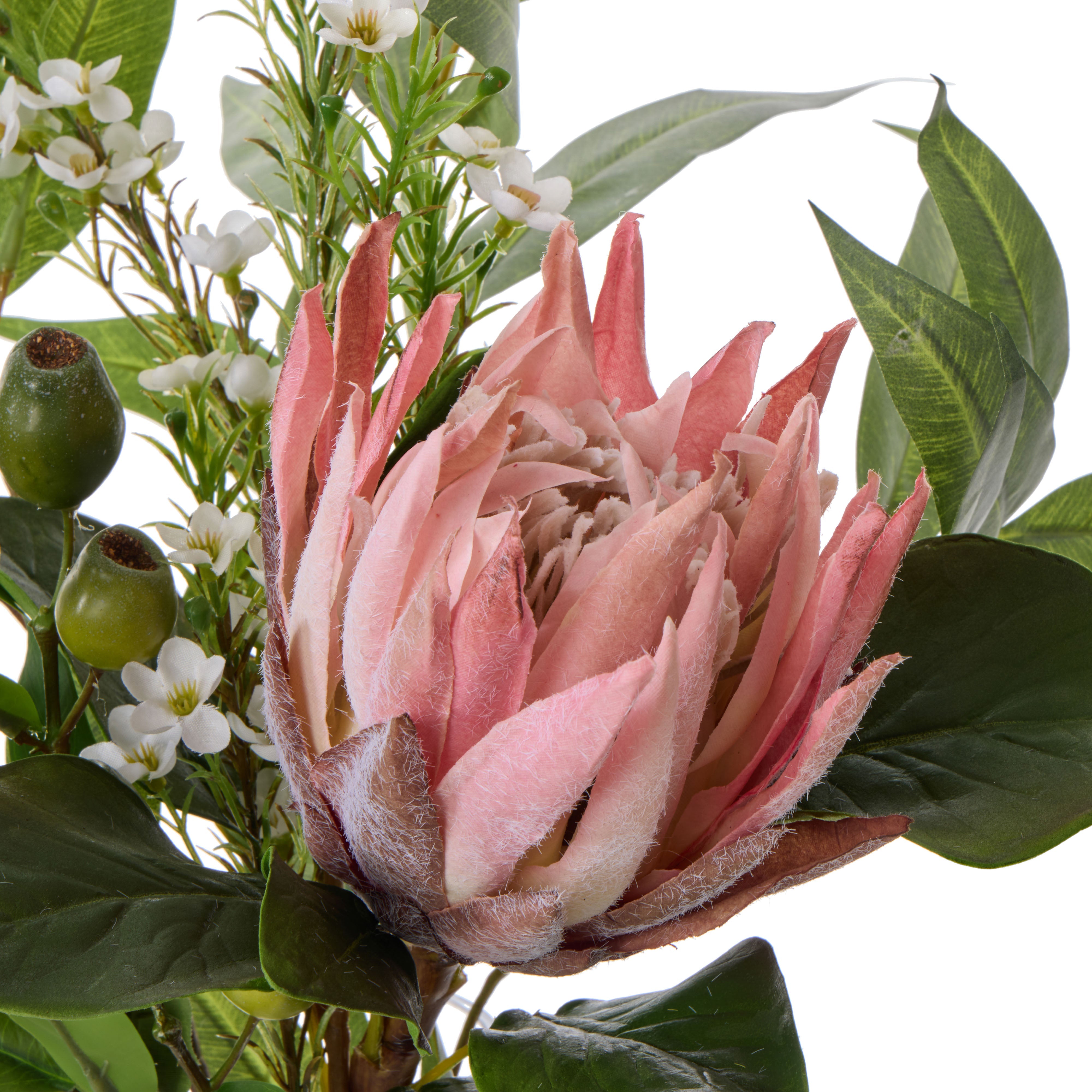Rogue King Protea Native Mix - Claire Pink/Green
